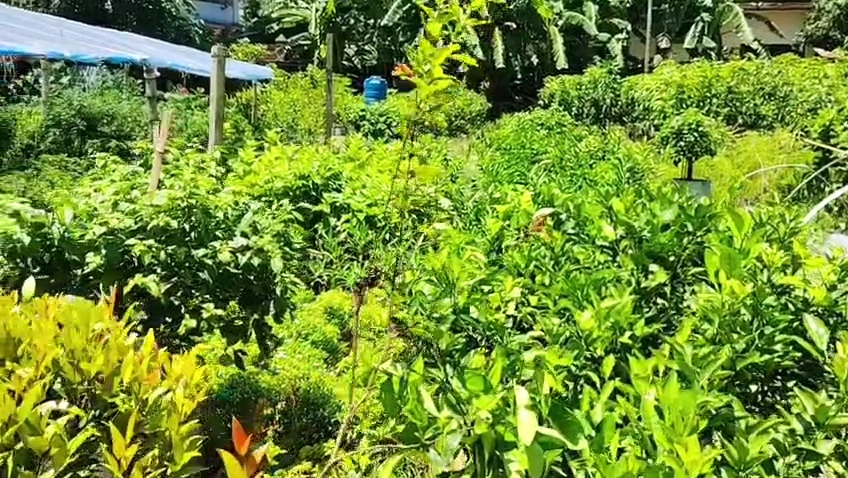 VideoCapture_20260816-181231.jpg