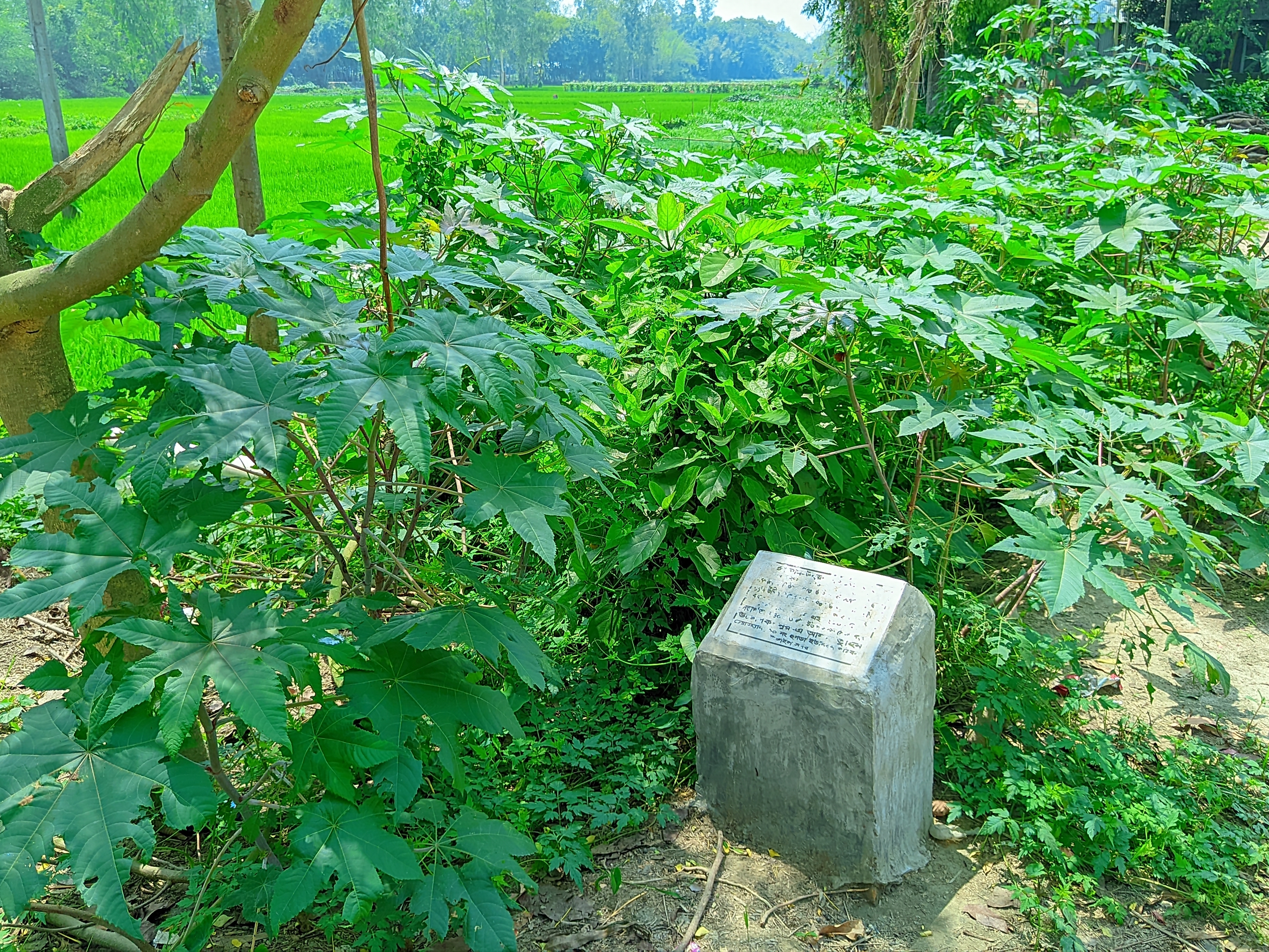 1000027243.jpg