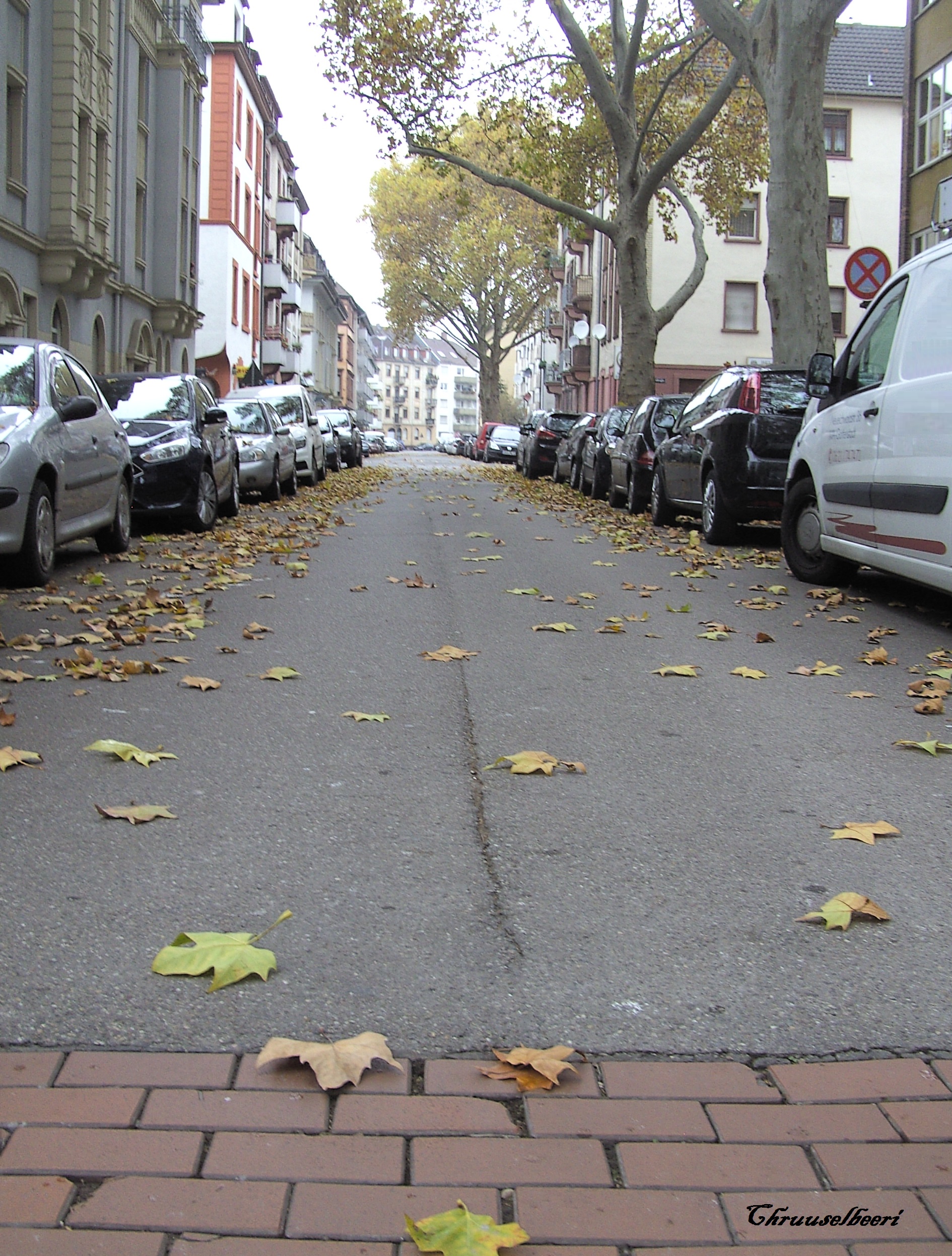 Novemberblues_06.jpg