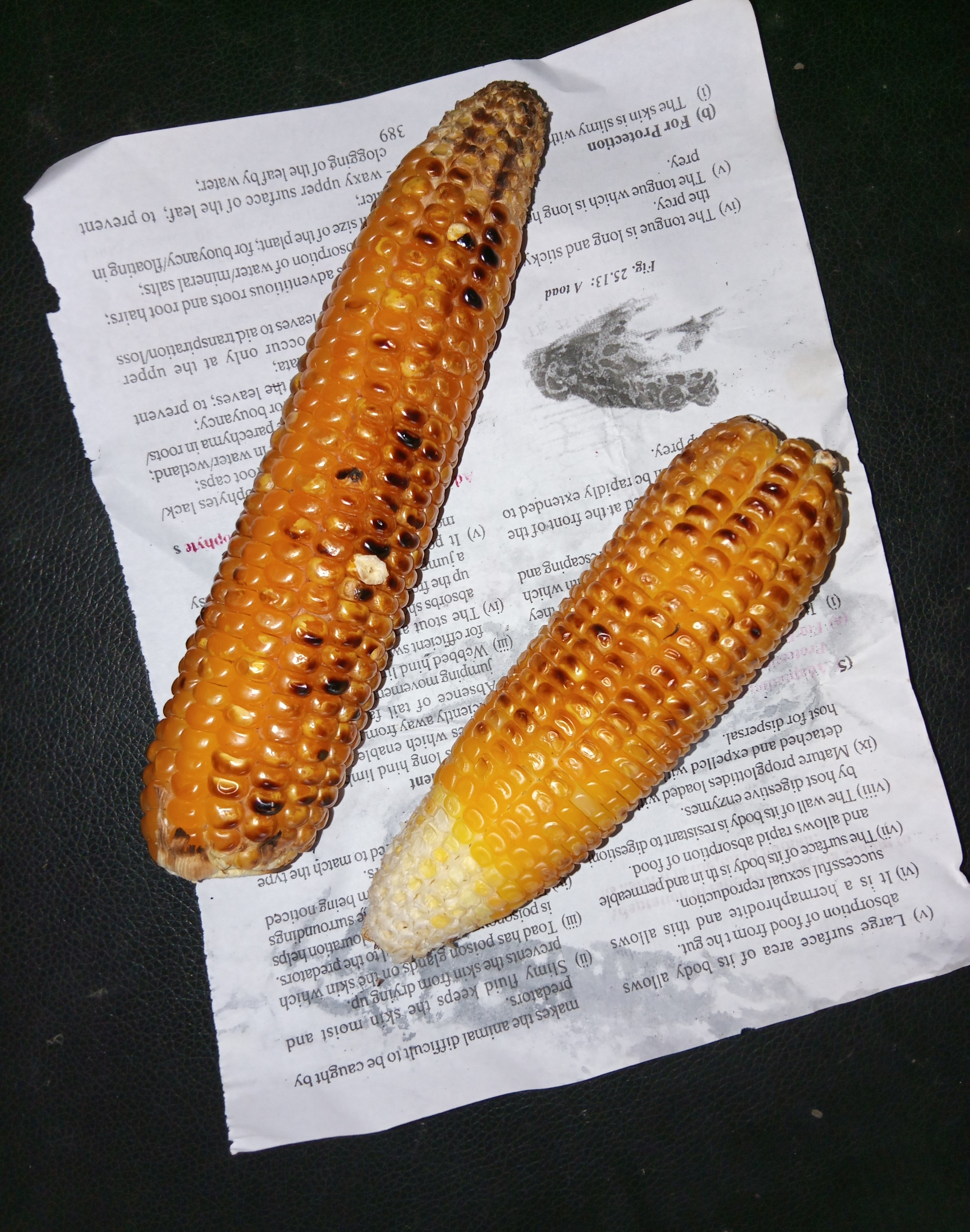 393042.jpg