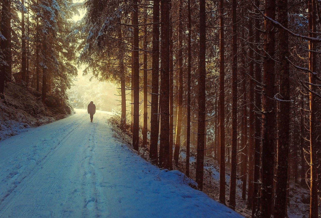 winter-1936638_1280.jpg