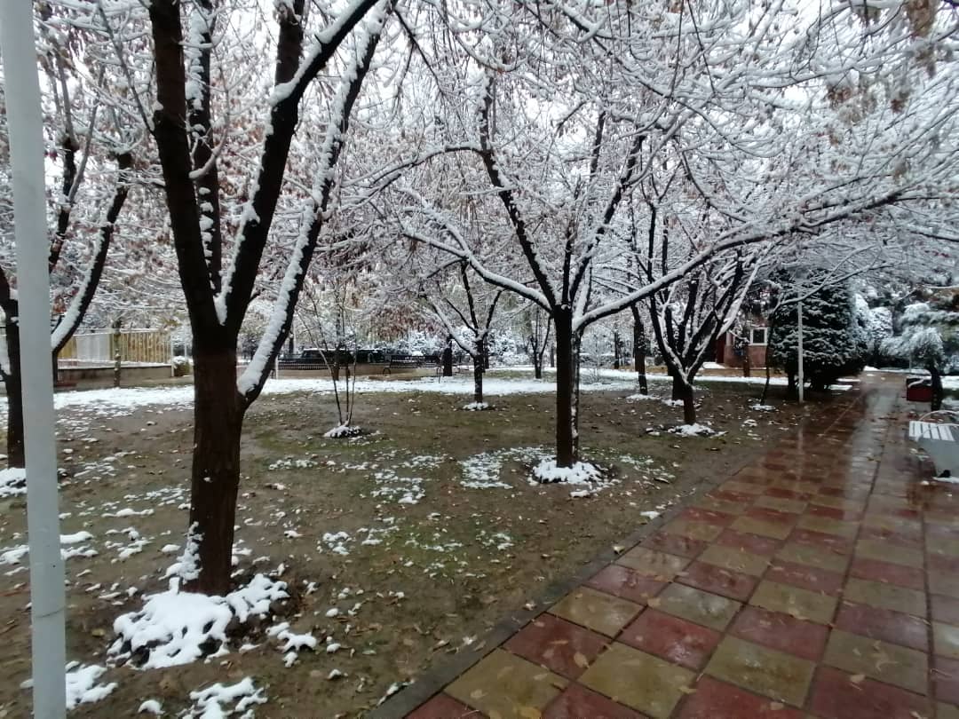 imagepark123 (11).jpeg