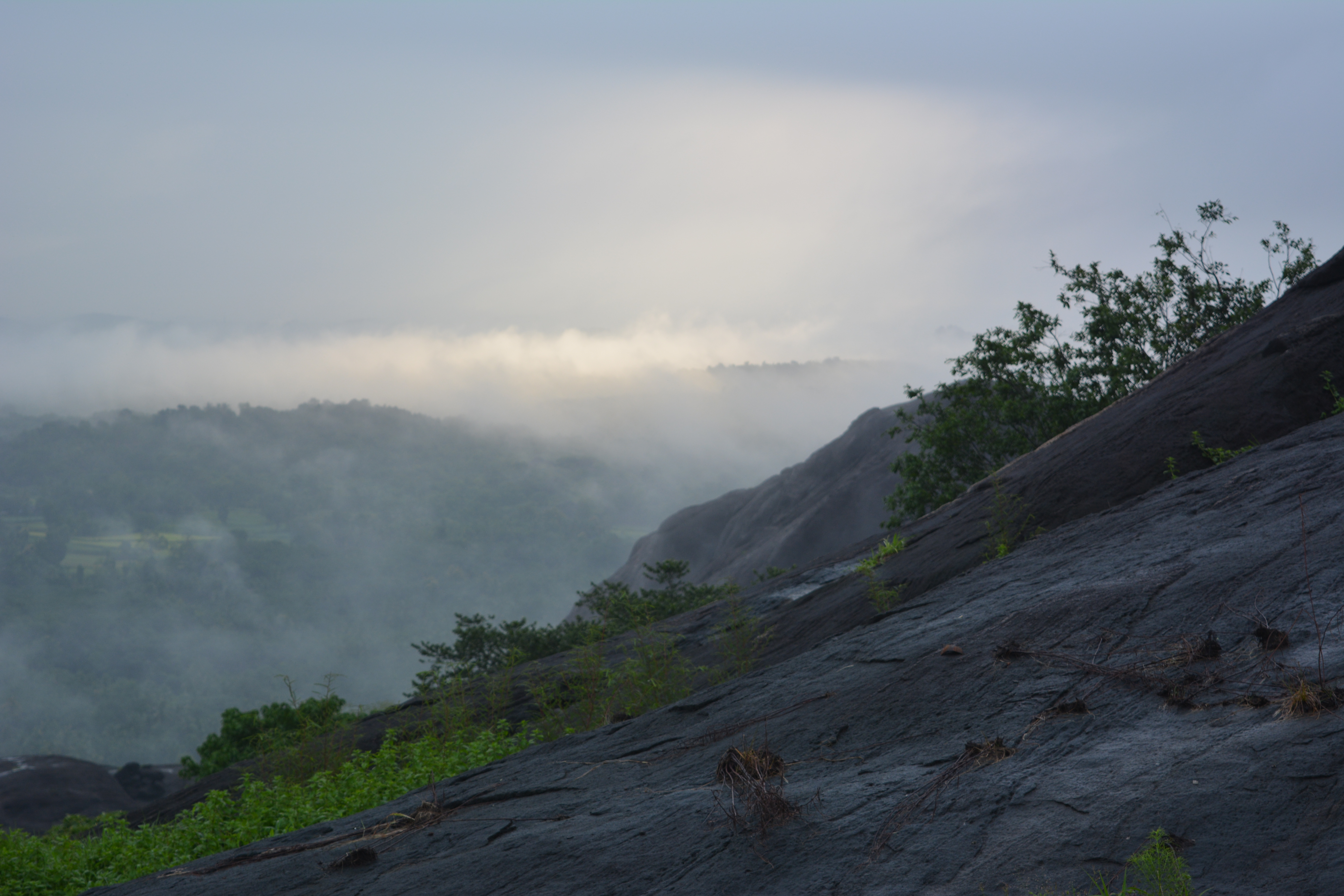 DSC_0041.JPG