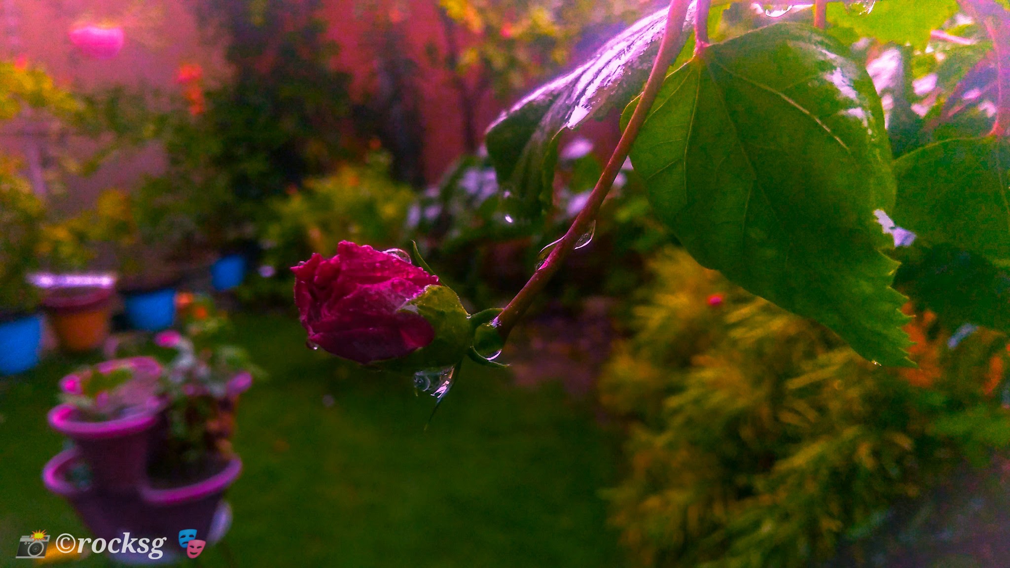 LRM_EXPORT_20210722_132901.jpg