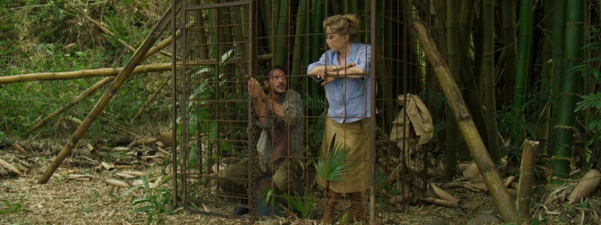 Terrible jungle.jpg