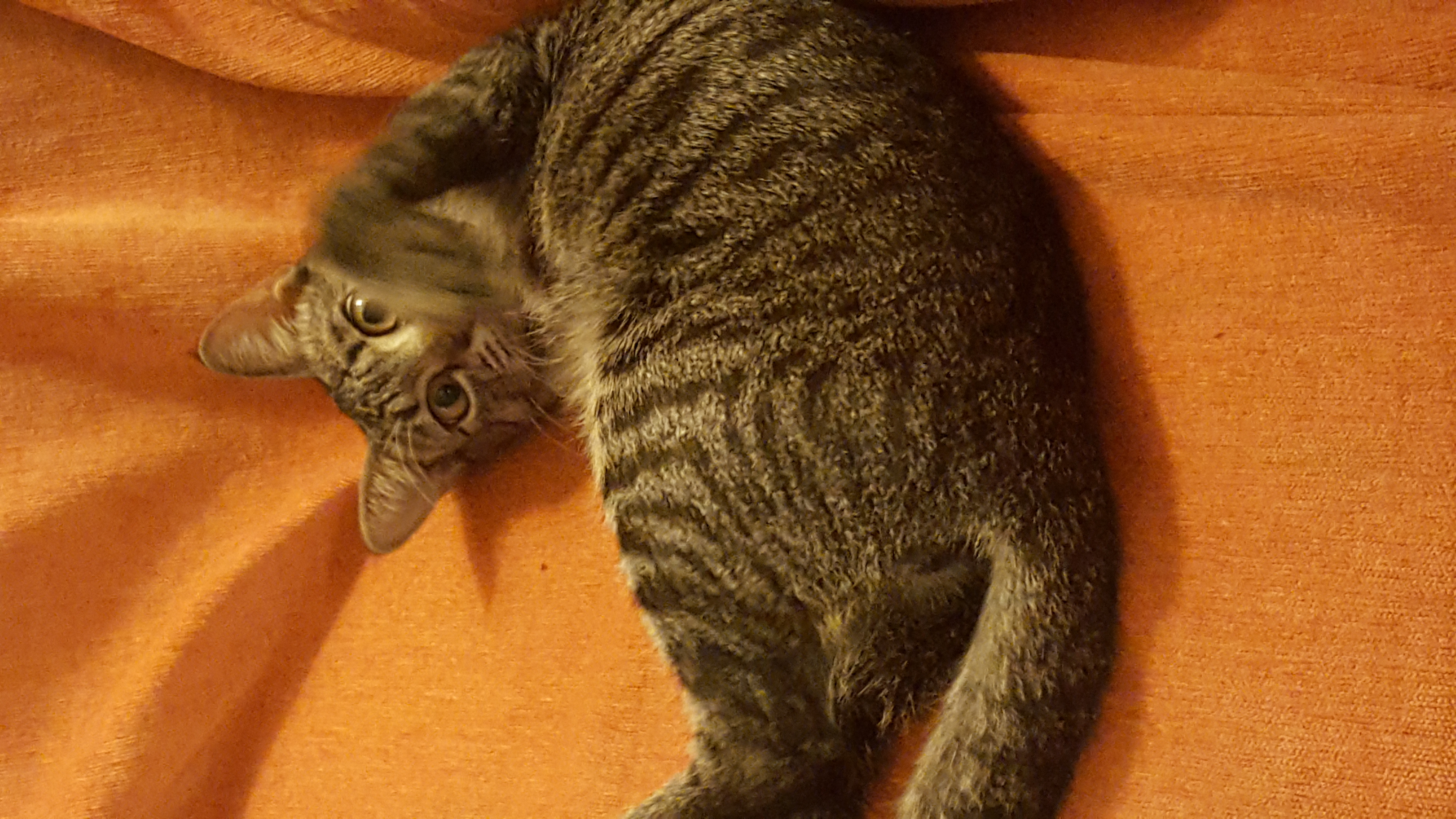 20181017_232232.jpg