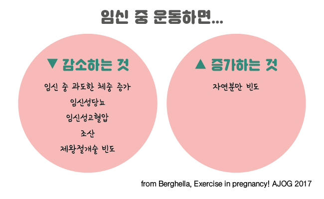 임신 5주 산모의 운동 (1).png