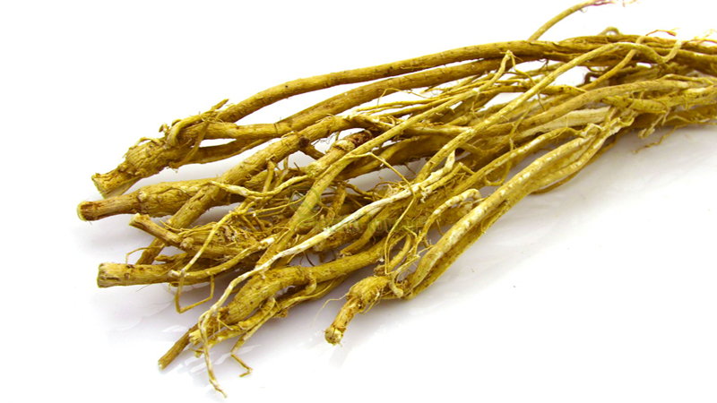 Astragalus-root.jpg