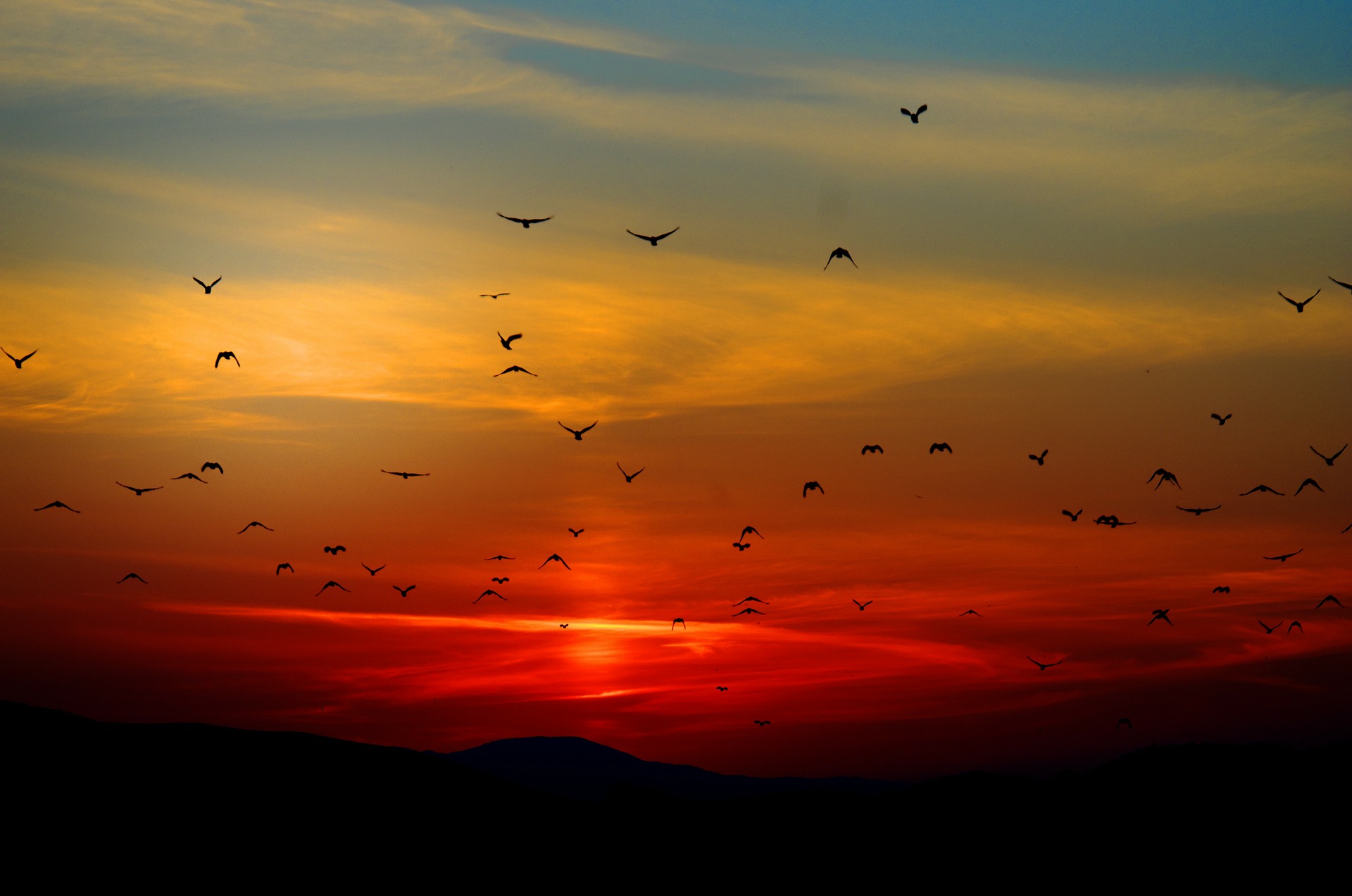 sunset-100367_1920.jpg