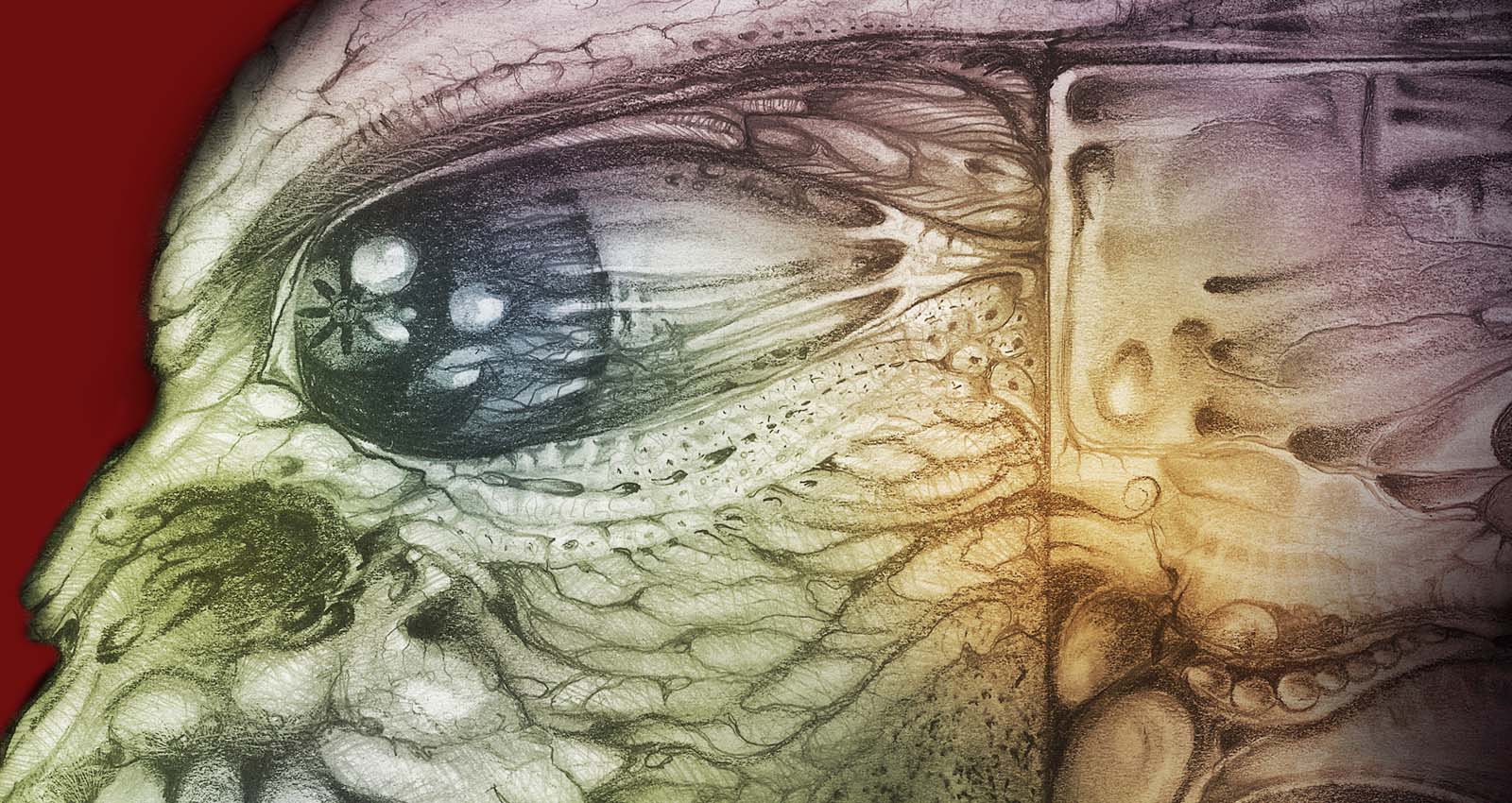 TRIPTACULAR 1a-crp-red-webdetail1600.jpg