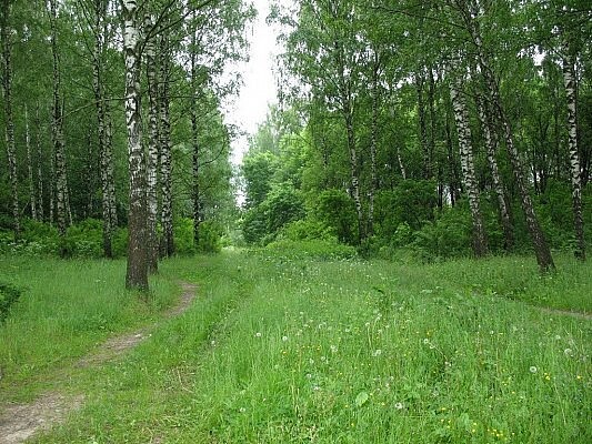 PHOTO-2021-06-04-19-50-17 (1).jpg