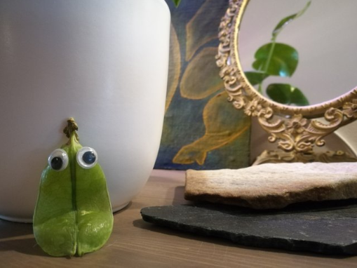 Day 1 - Googlyeyes! by @roguescientist84