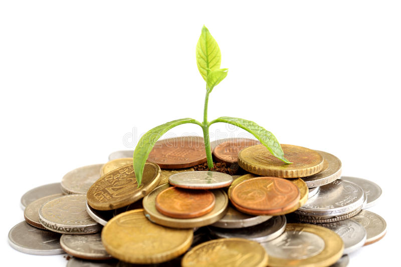 baby-plant-growing-coins-green-tree-money-isolated-white-background-money-concept-34767098.jpg