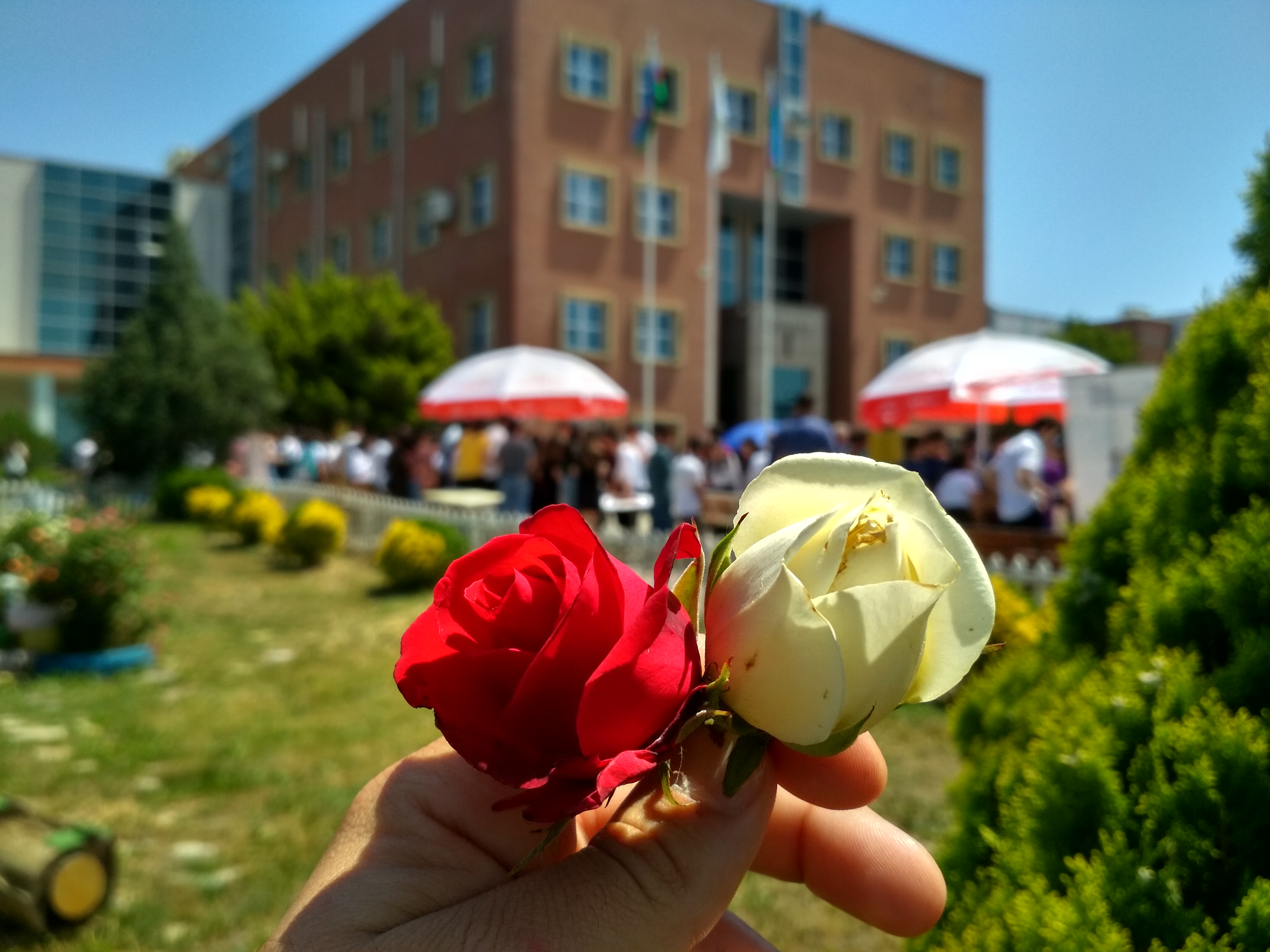 IMG_20190524_115200_HDR.jpg