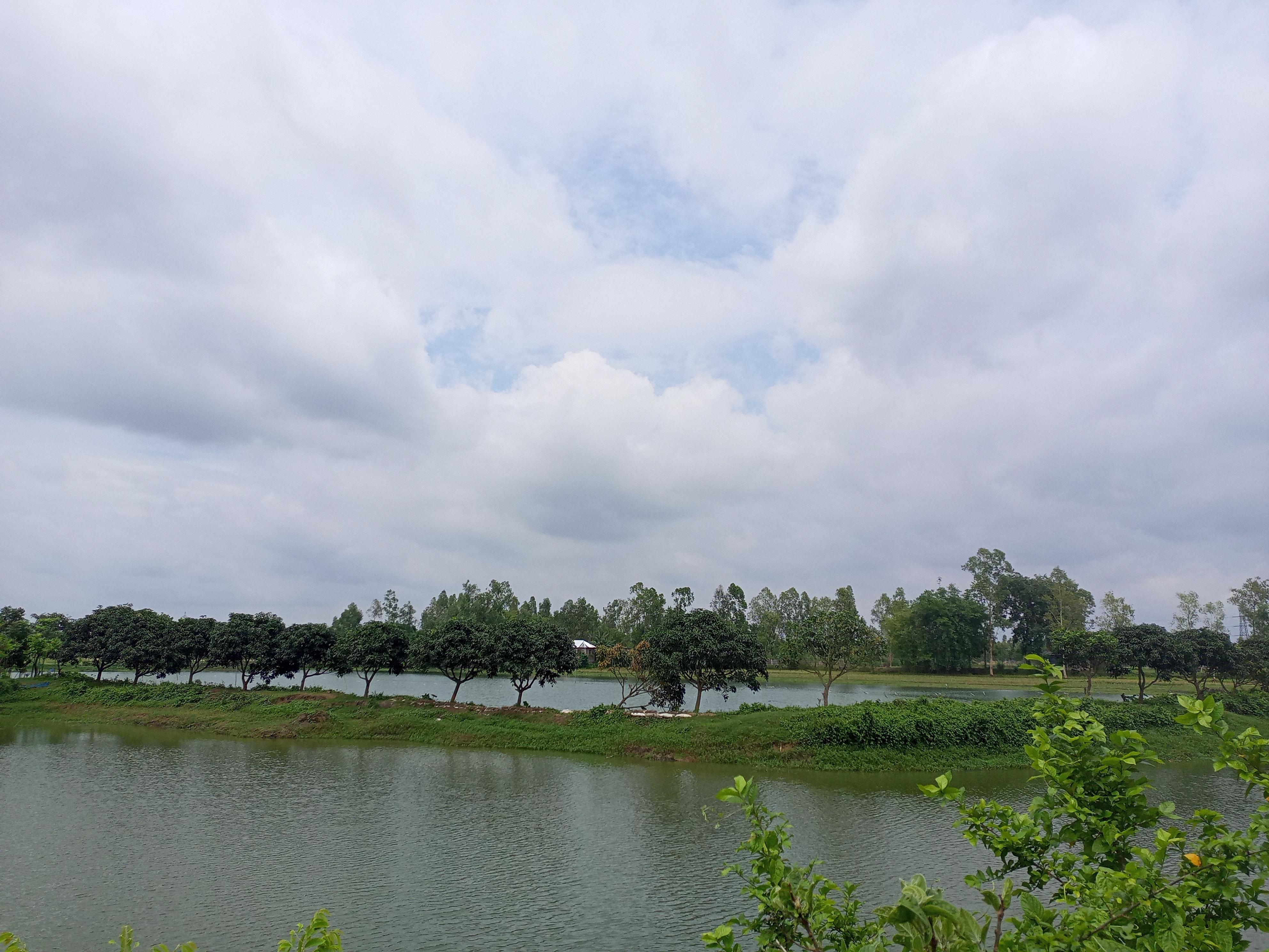 IMG_20210525_134251_823.jpg