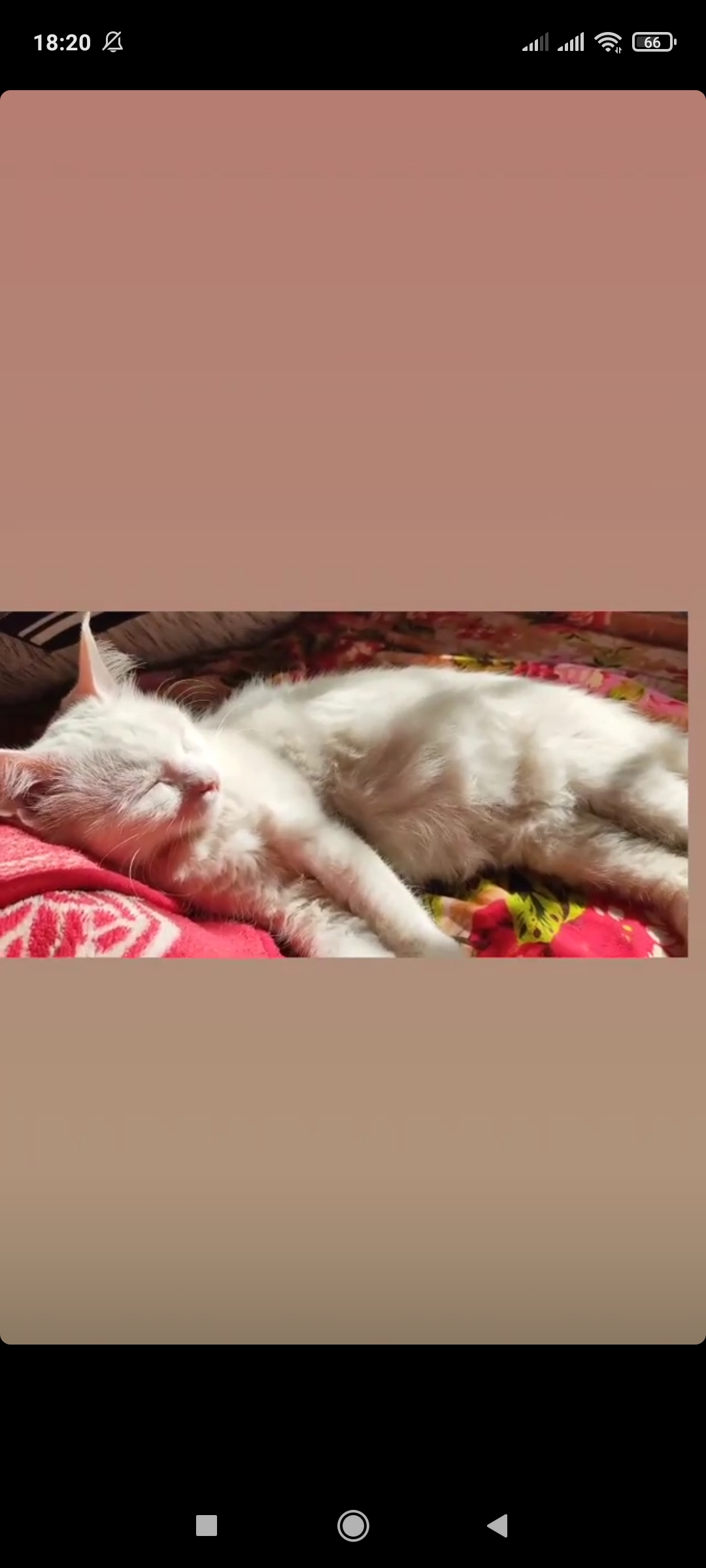 Screenshot_2021-04-09-18-20-30-087_com.instagram.android.jpg