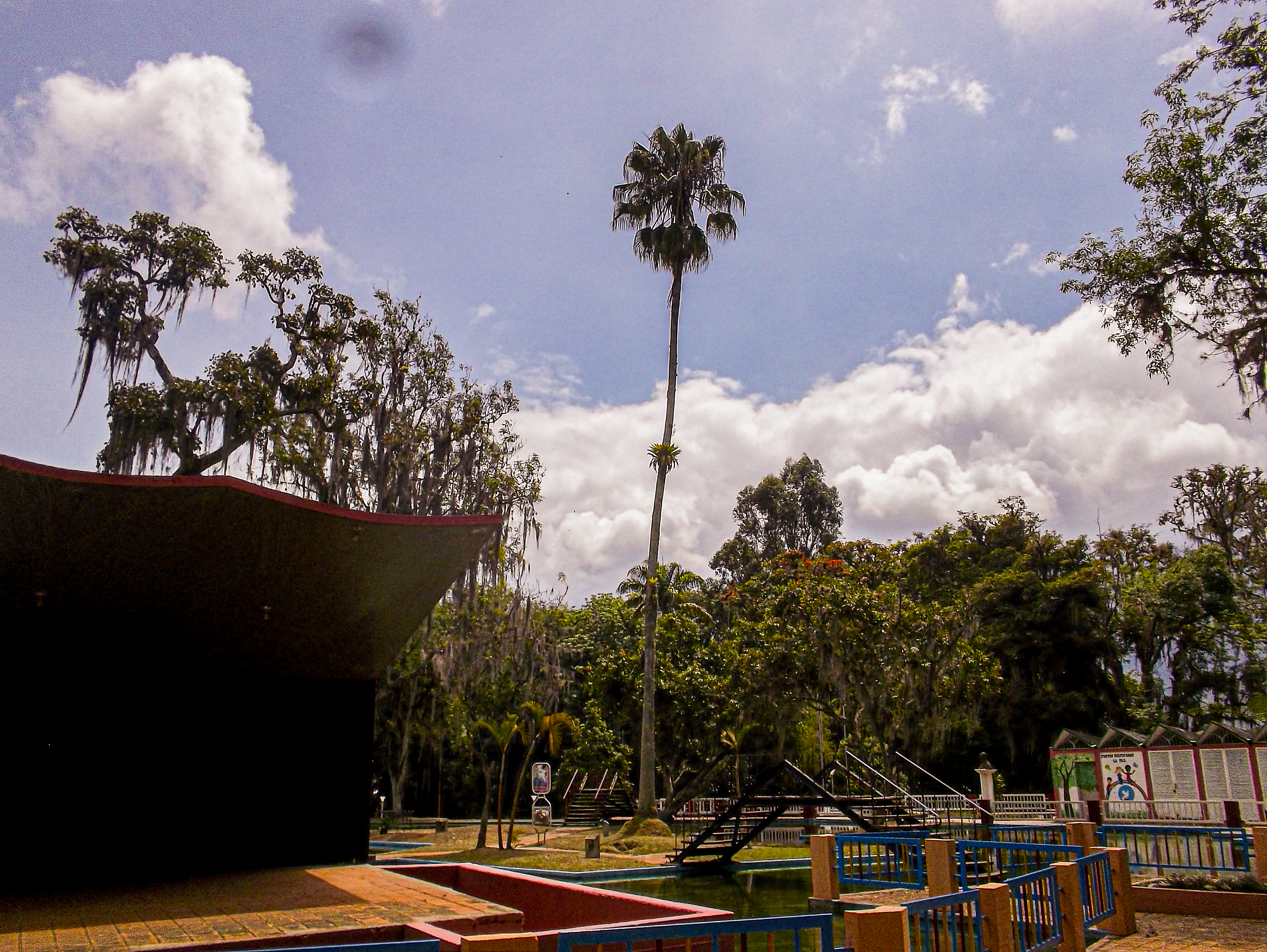 100_5231.jpg