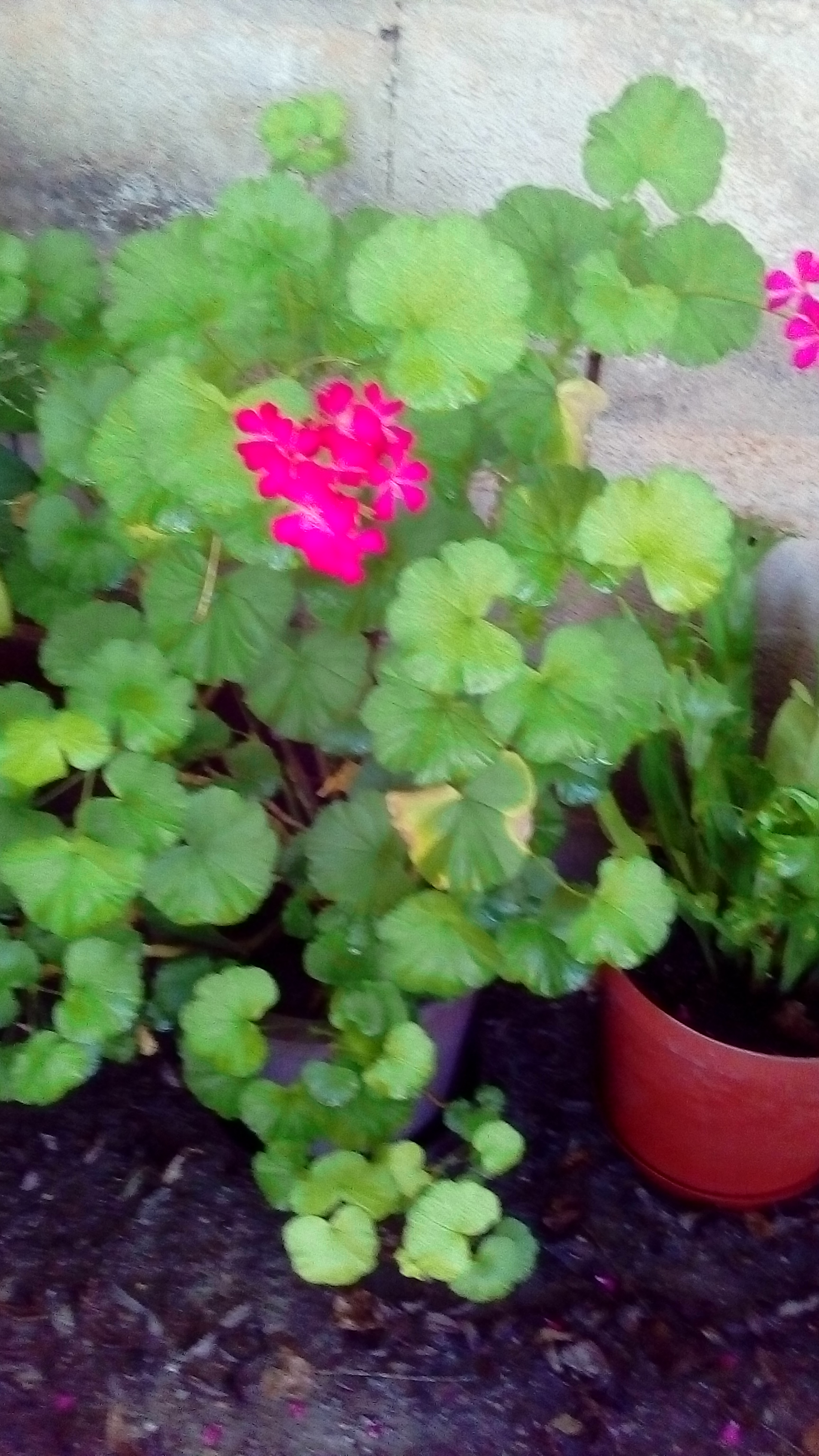IMG_20200104_095922.jpg