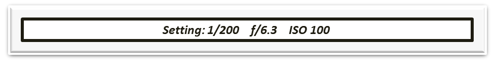 4.png