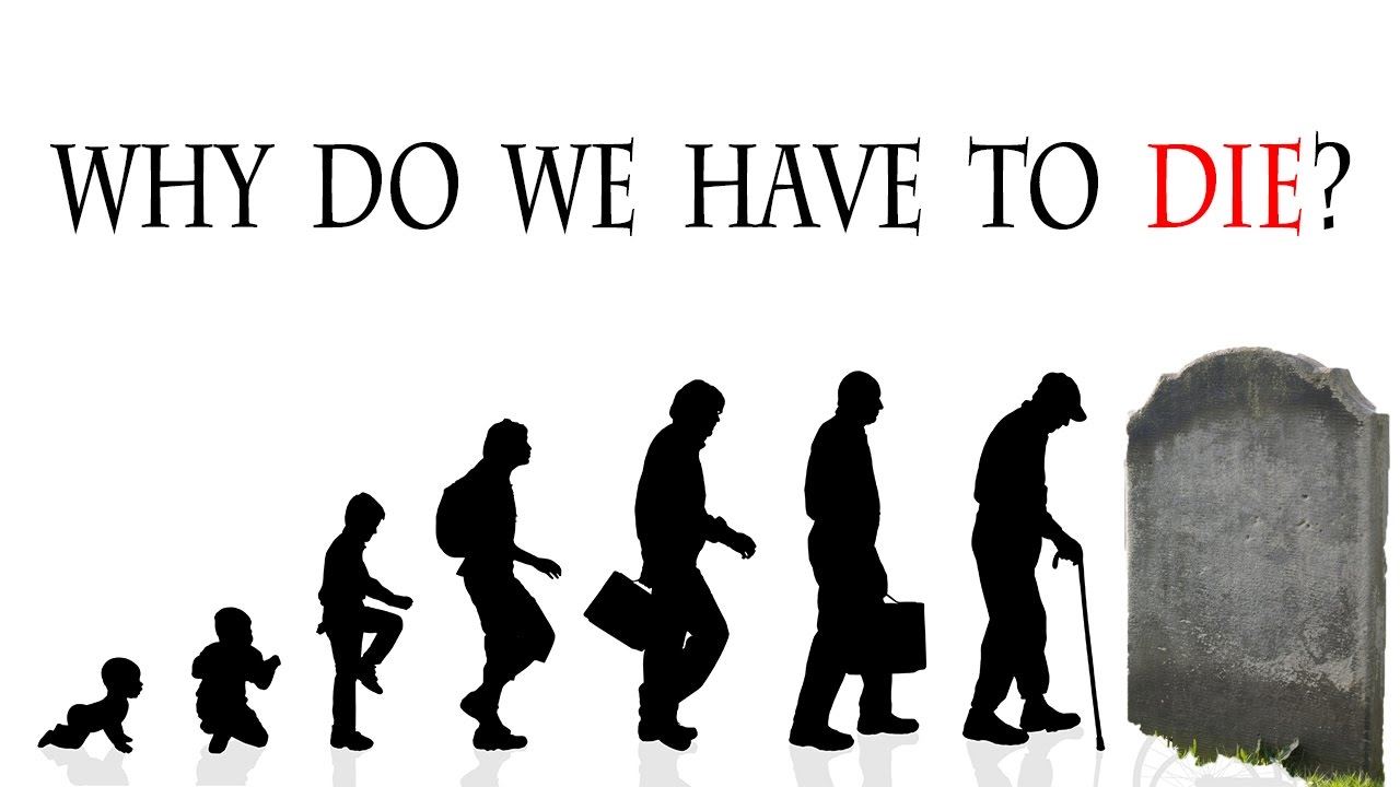 maxresdefault (1).jpg