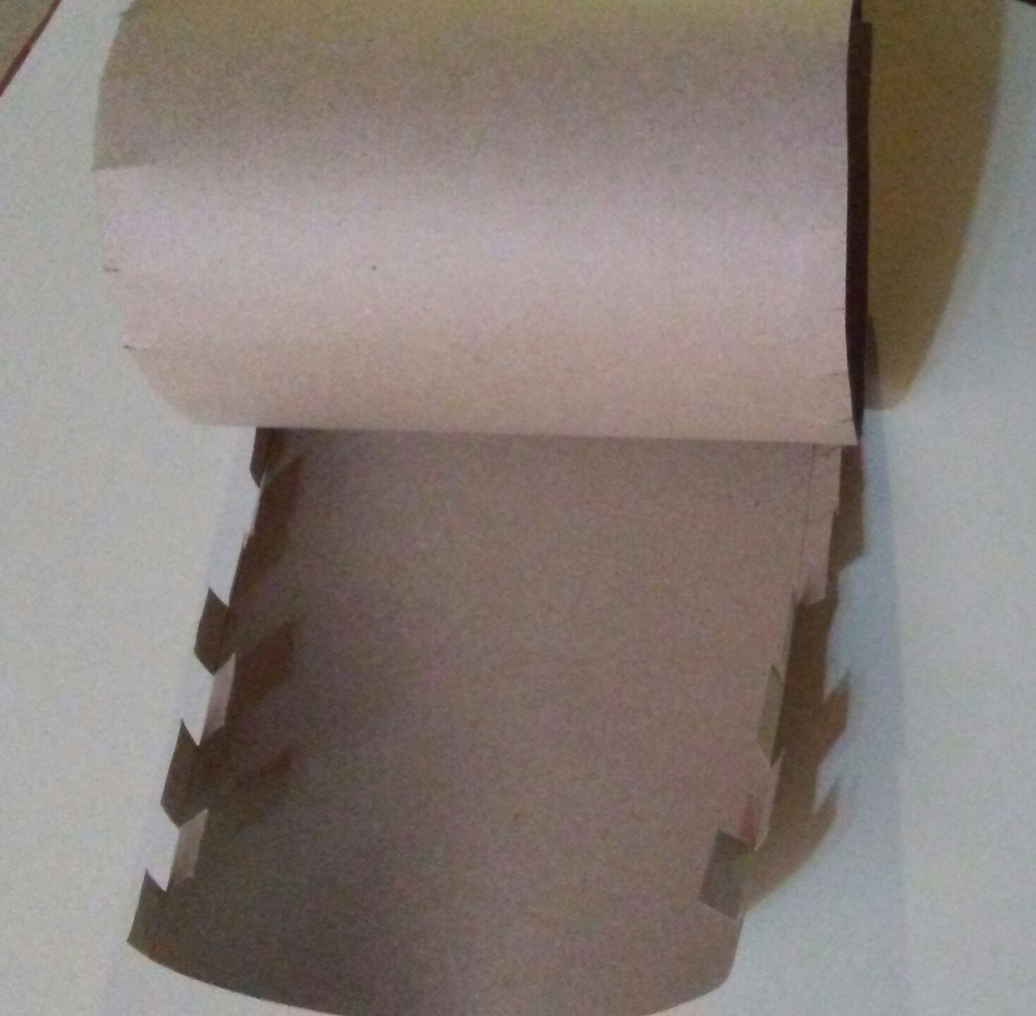 20220505_123445-1.jpg