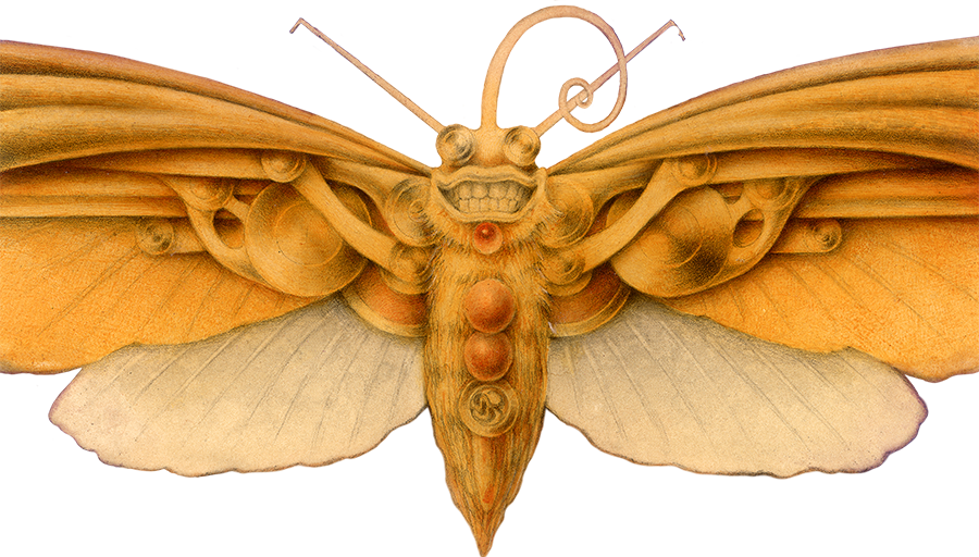 butterfly2019-01.png