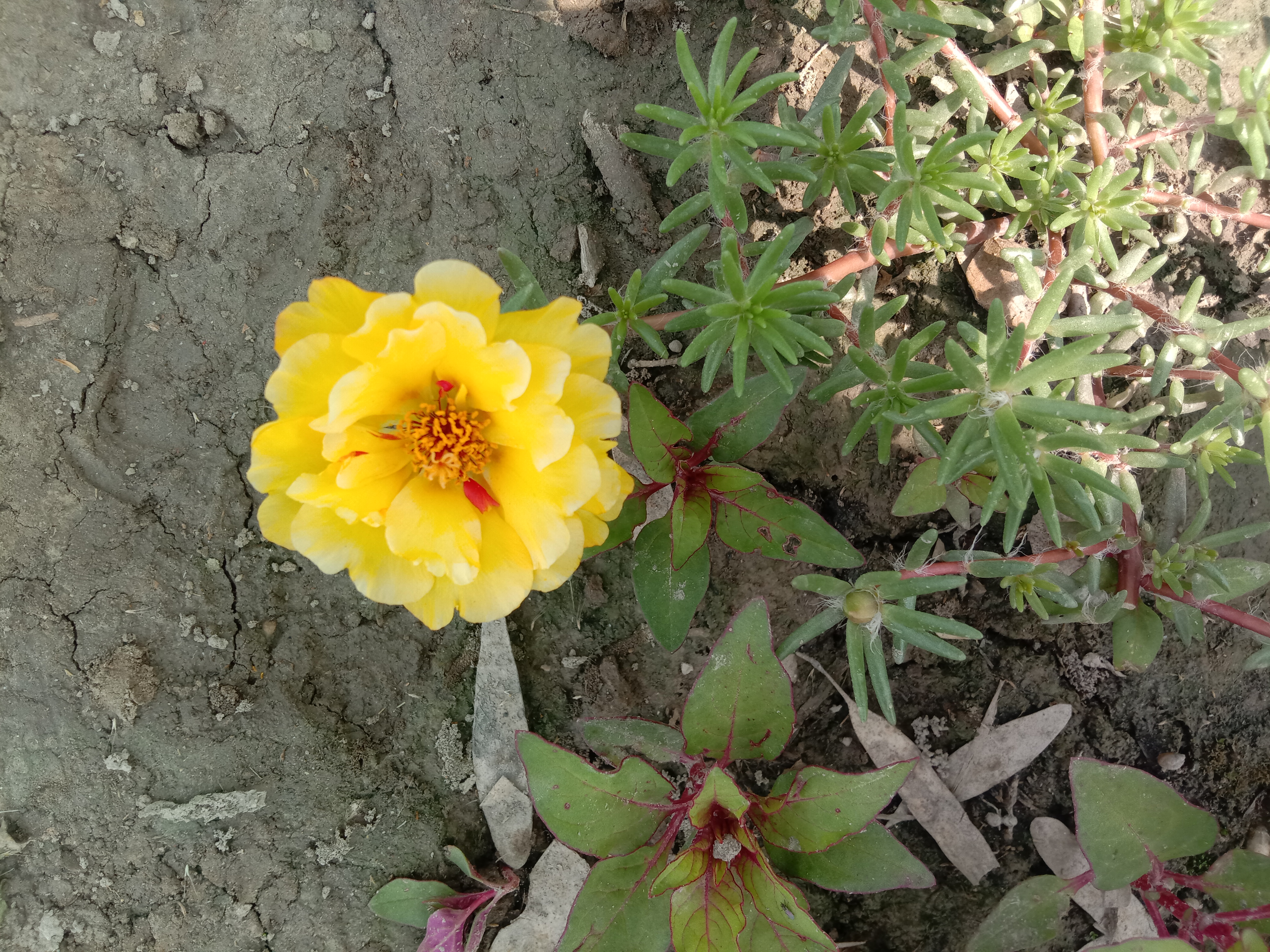 IMG_20210422_132617.jpg