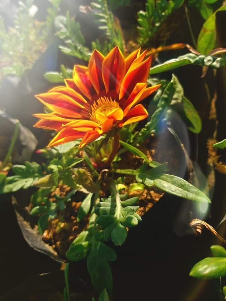 JvFFVmatwWHRfvmtd53nmEJ94xpKydwmbSC5H5svBACH7yNc7MEpNsNADKT43DCS1LzRo16LiwN2bTWG1FAR2sEyQpU3nx1tZrTTeDWtAeBGHPwtAnK6rsuBsRNeNdKcSUiwobJsDY.jpeg