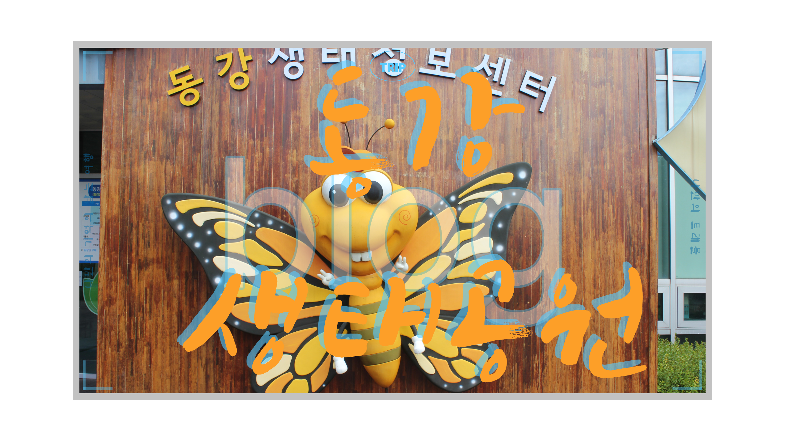 동강생태공원 영월관광지 나이담 나만의트래블.png