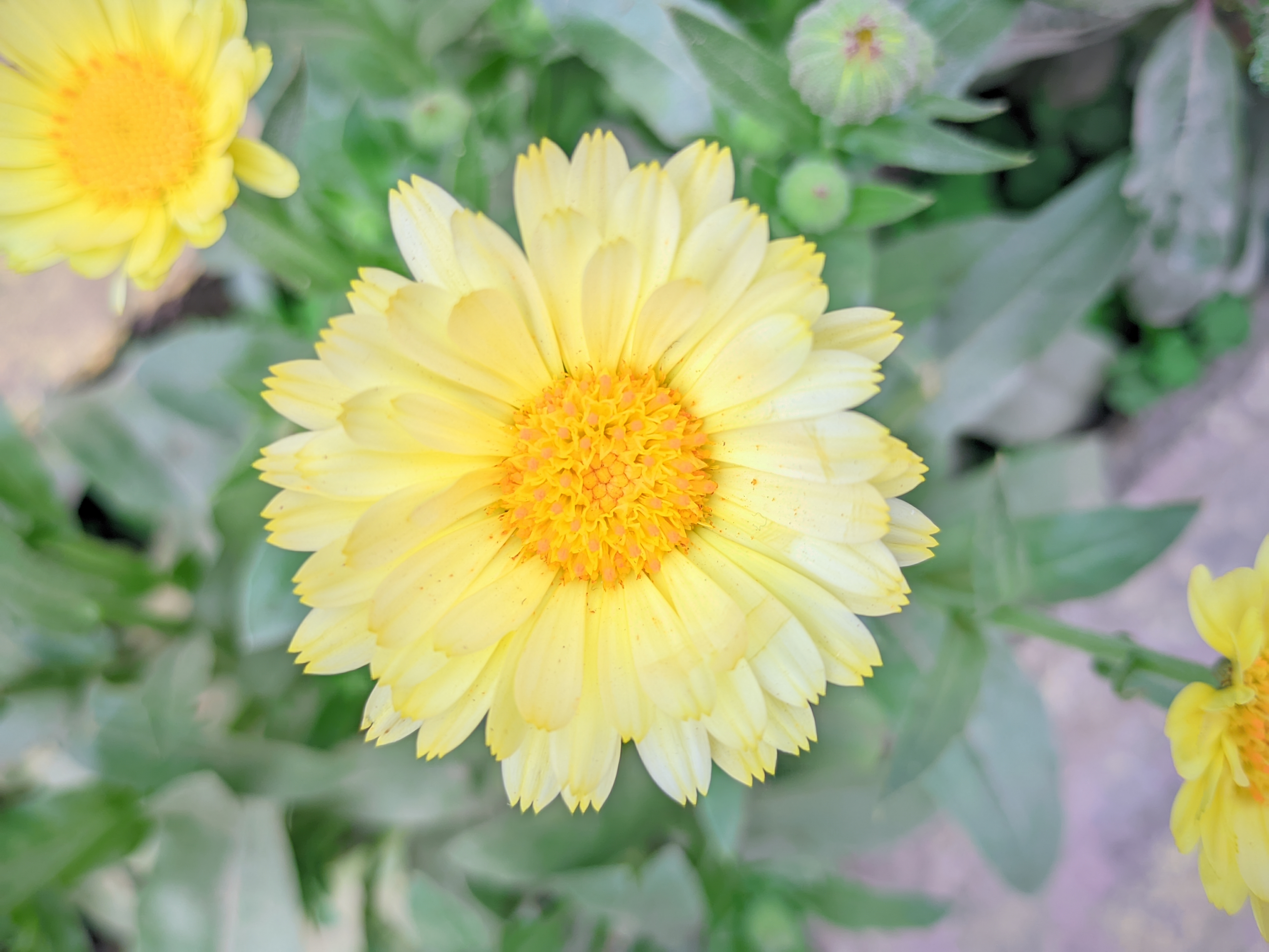 RIYAN_20240221_130555_👫Vivid Color .jpg