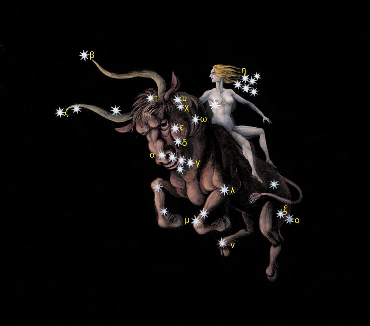 taurus.jpg