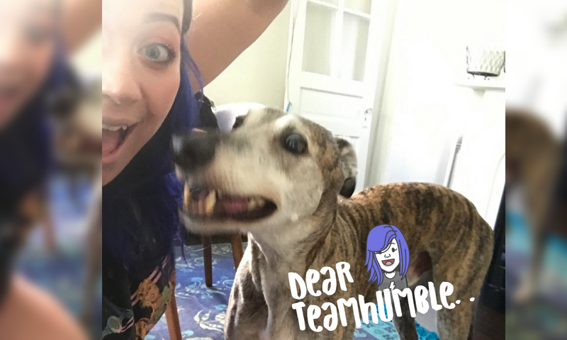 @dayleeo Steemit-Covers (1).png