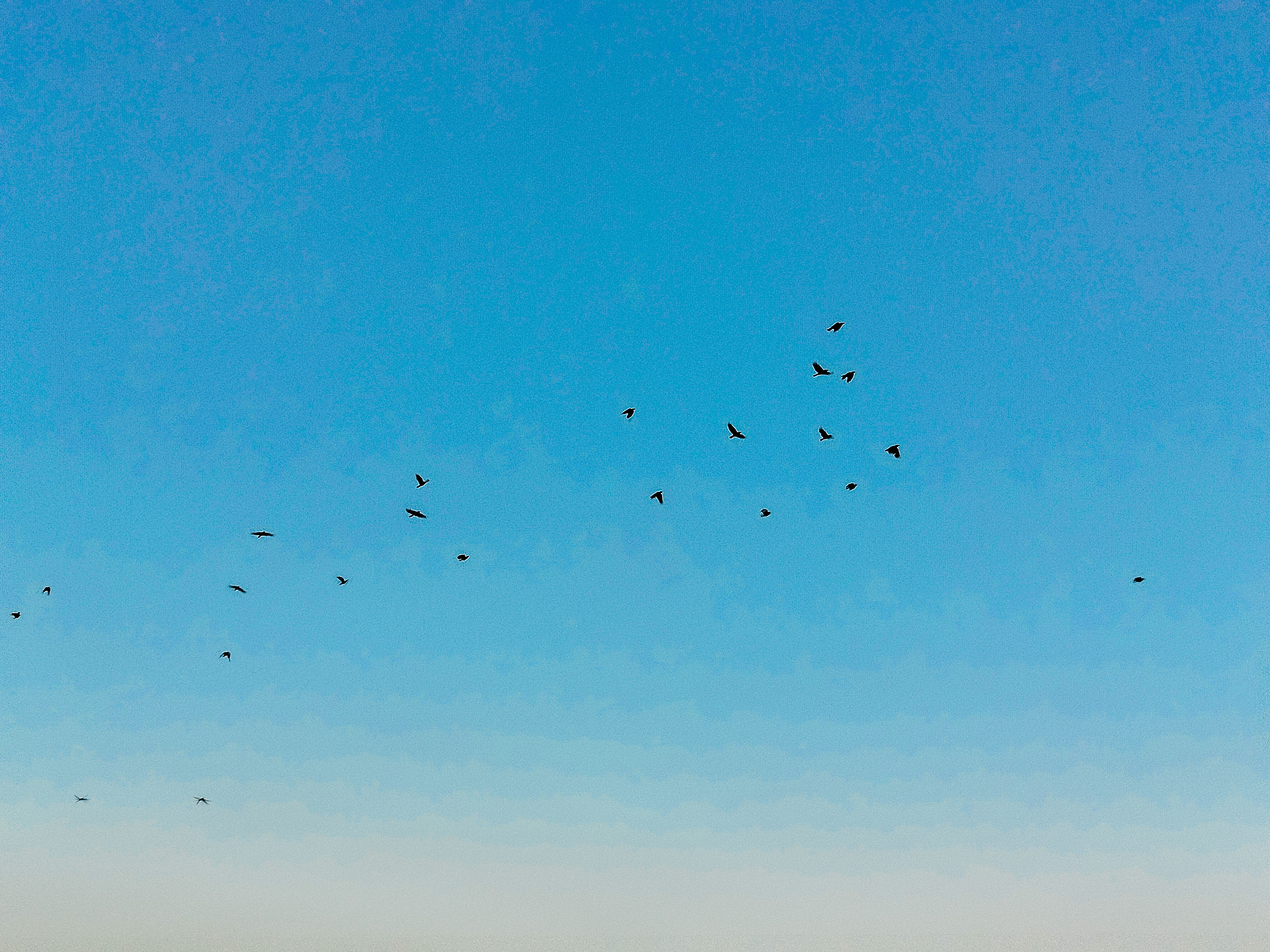 1000171572.jpg