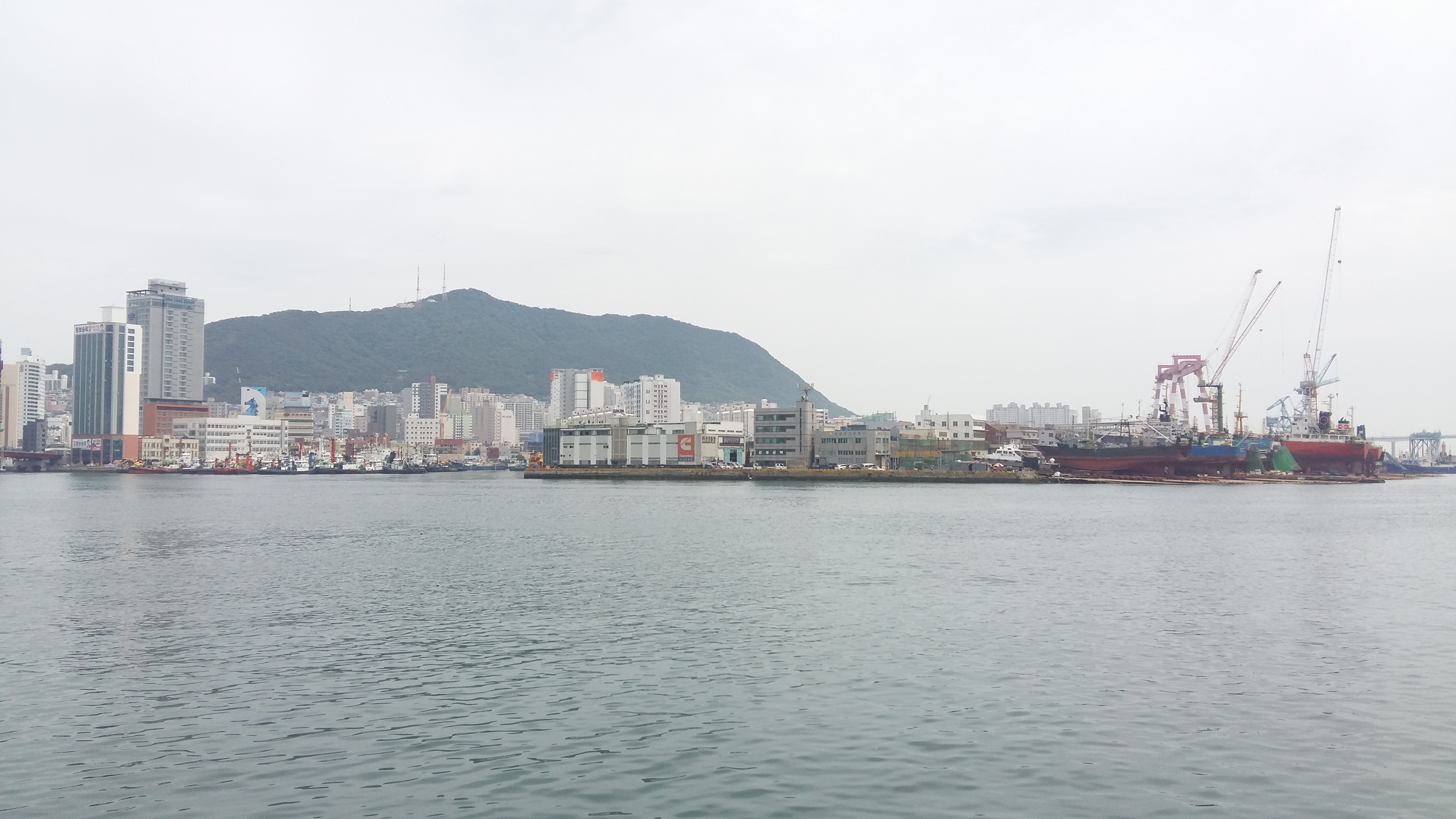 20180527_130758.jpg