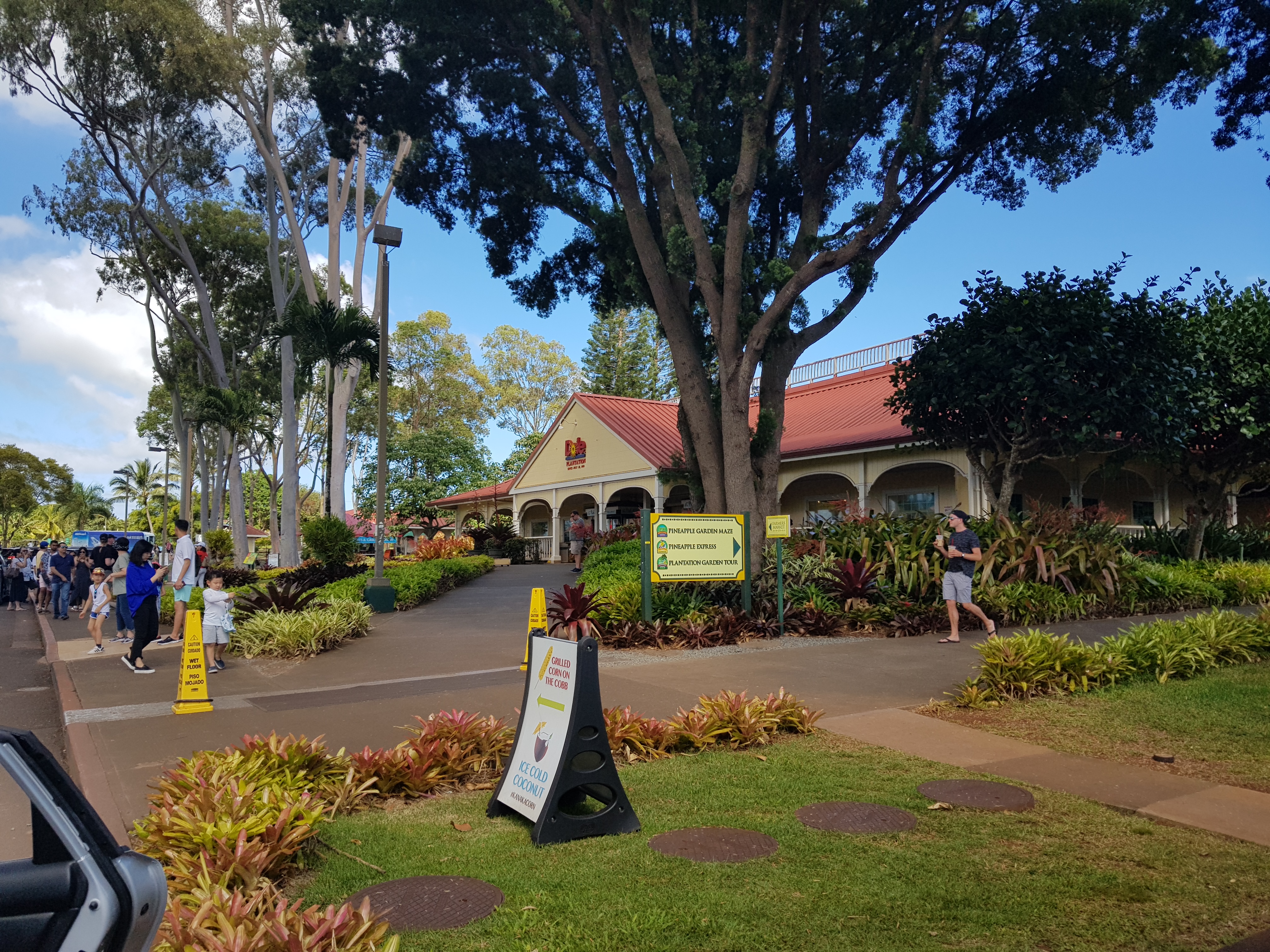 [여행] 하와이 9일차(2): Dole plantation