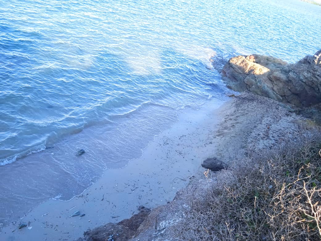 WhatsApp Image 2025-08-31 at 5.36.01 AM (2).jpeg