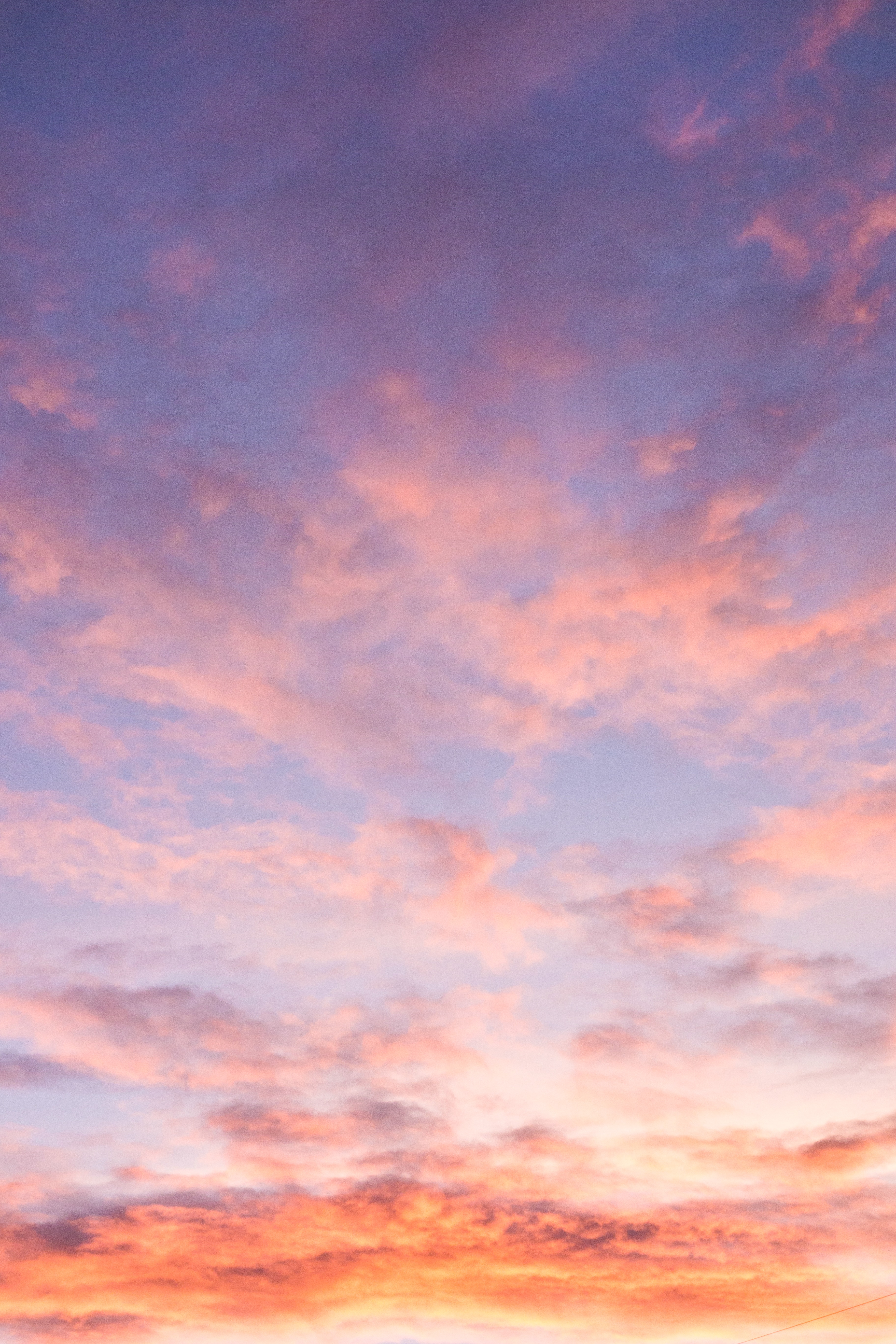 pexels-michelle-still-creates-5903903.jpg