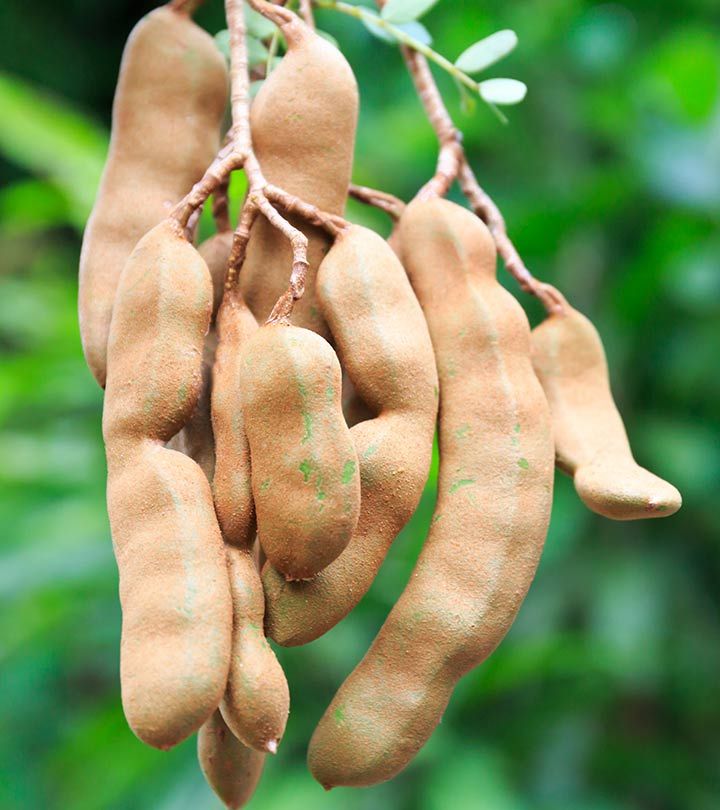 7 Health Benefits Of Tamarind + Possible Side Effects.jpg