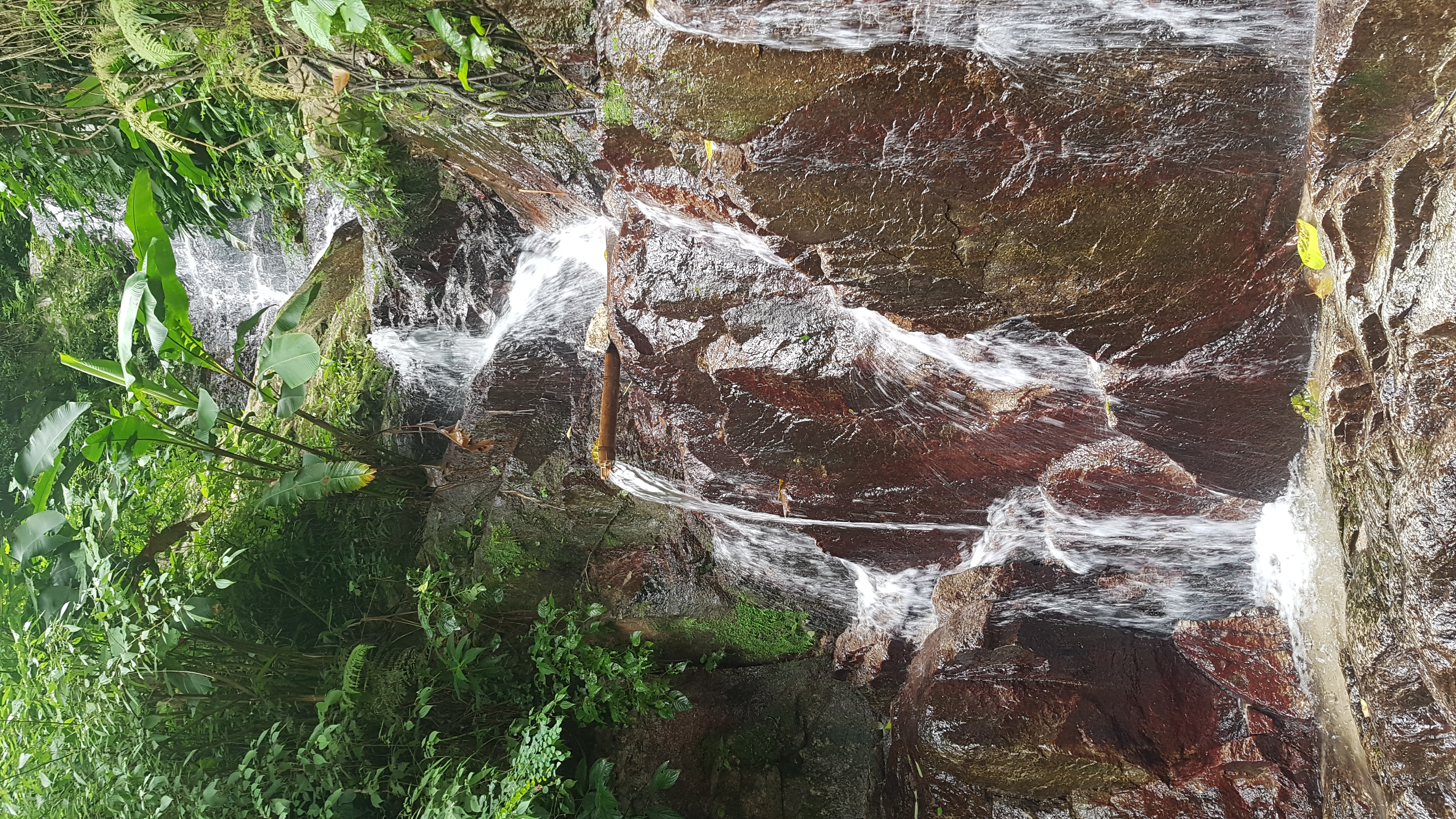 20190819_095401.jpg