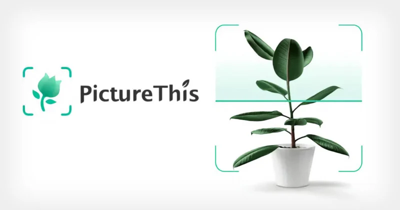 PictureThis logo.png