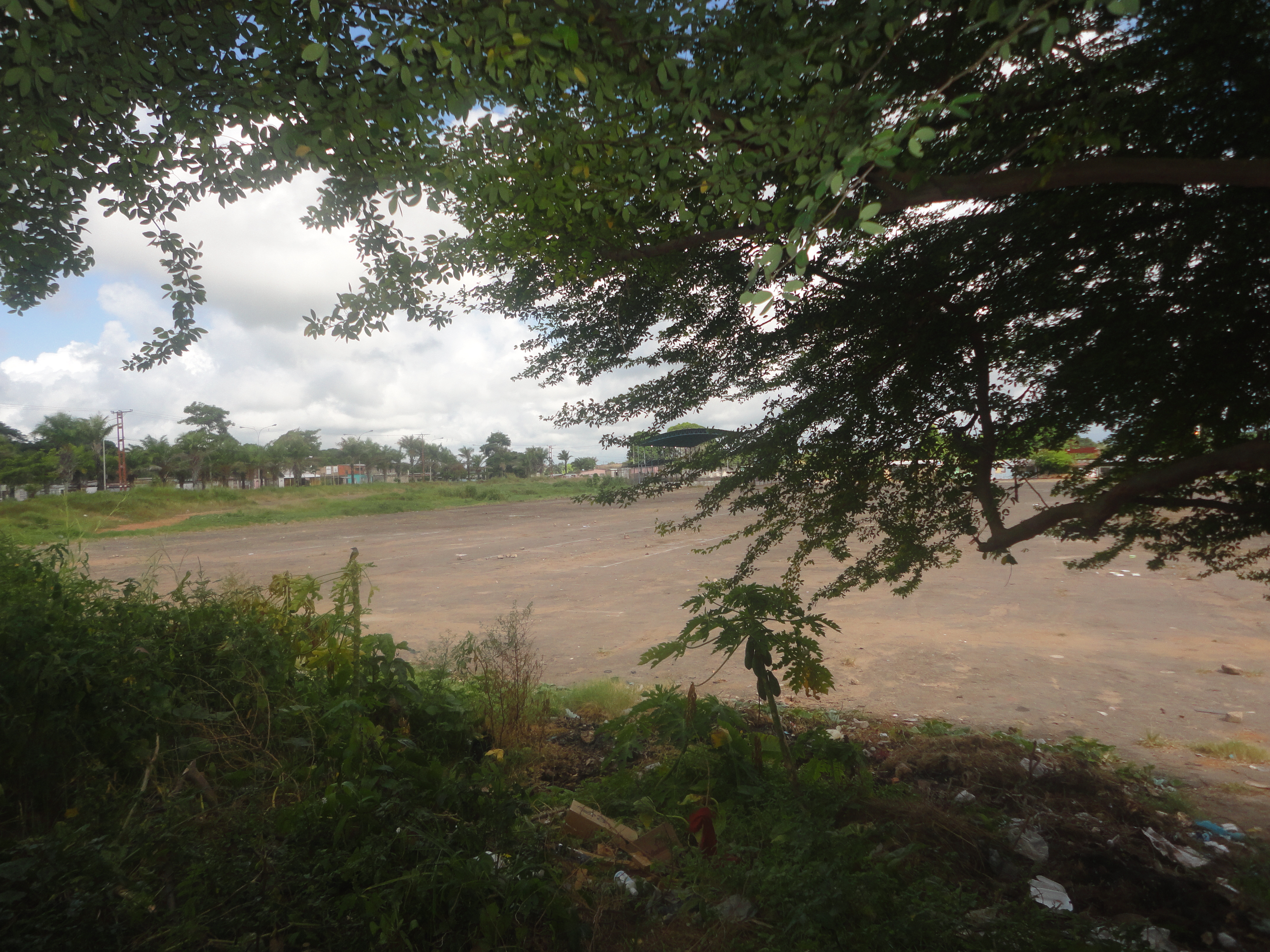 DSC00174.JPG