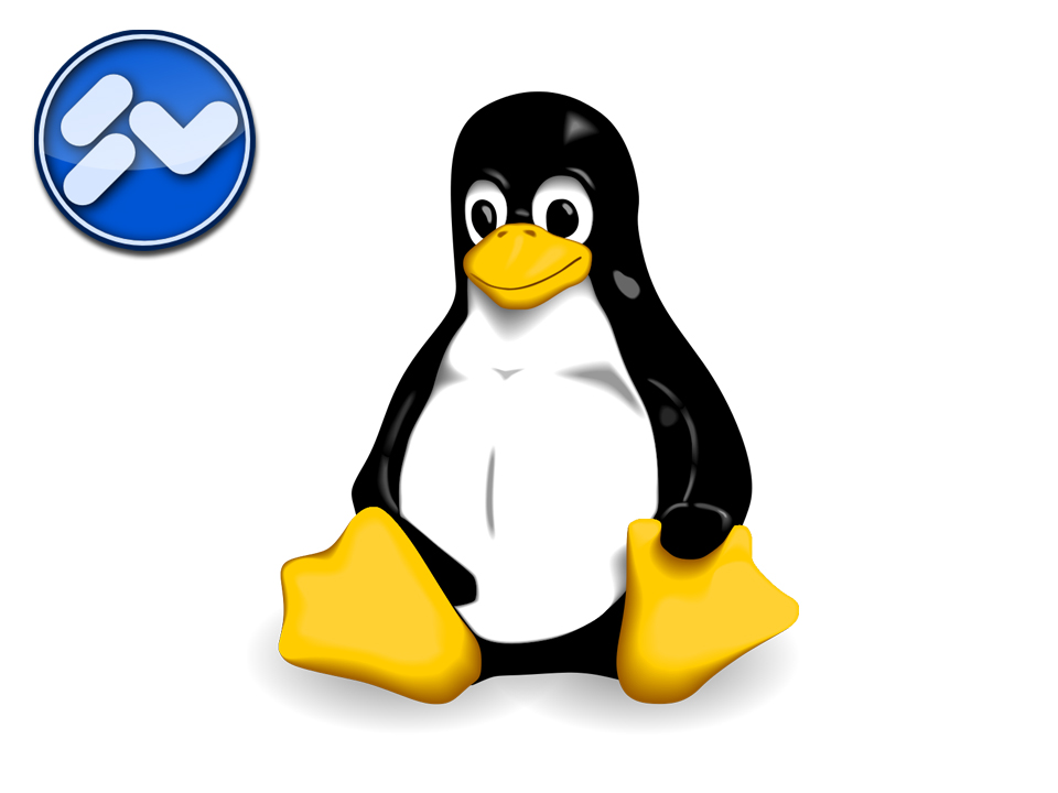linux-w.jpg