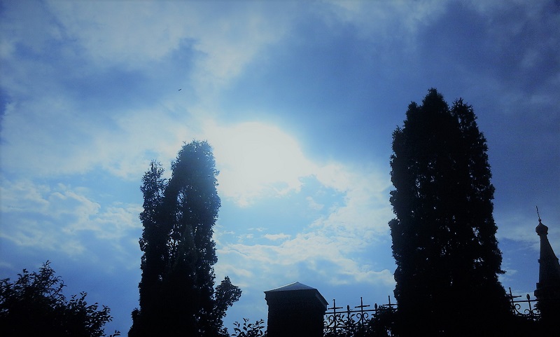 20180524_170639.jpg