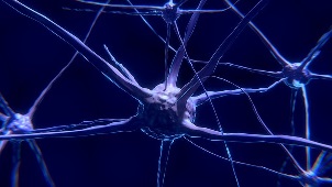 nerve-cell-2213009__340.jpg
