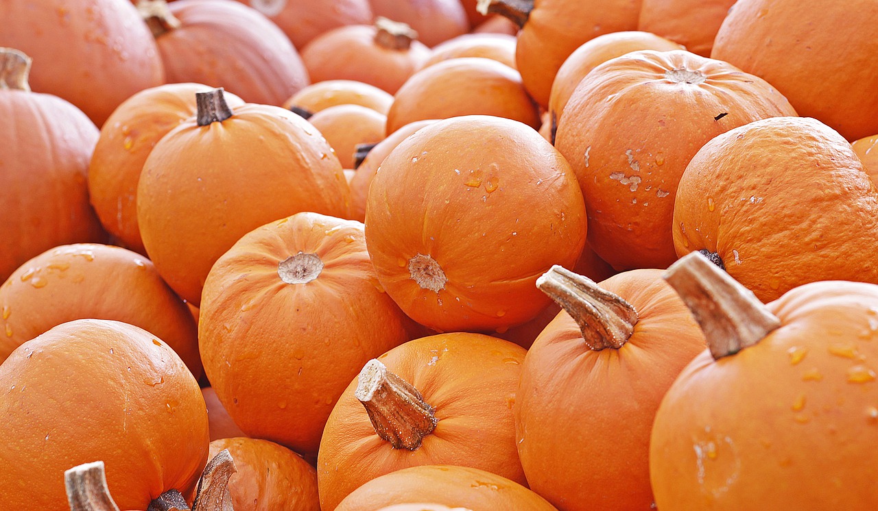 pumpkin-4461665_1280.jpg