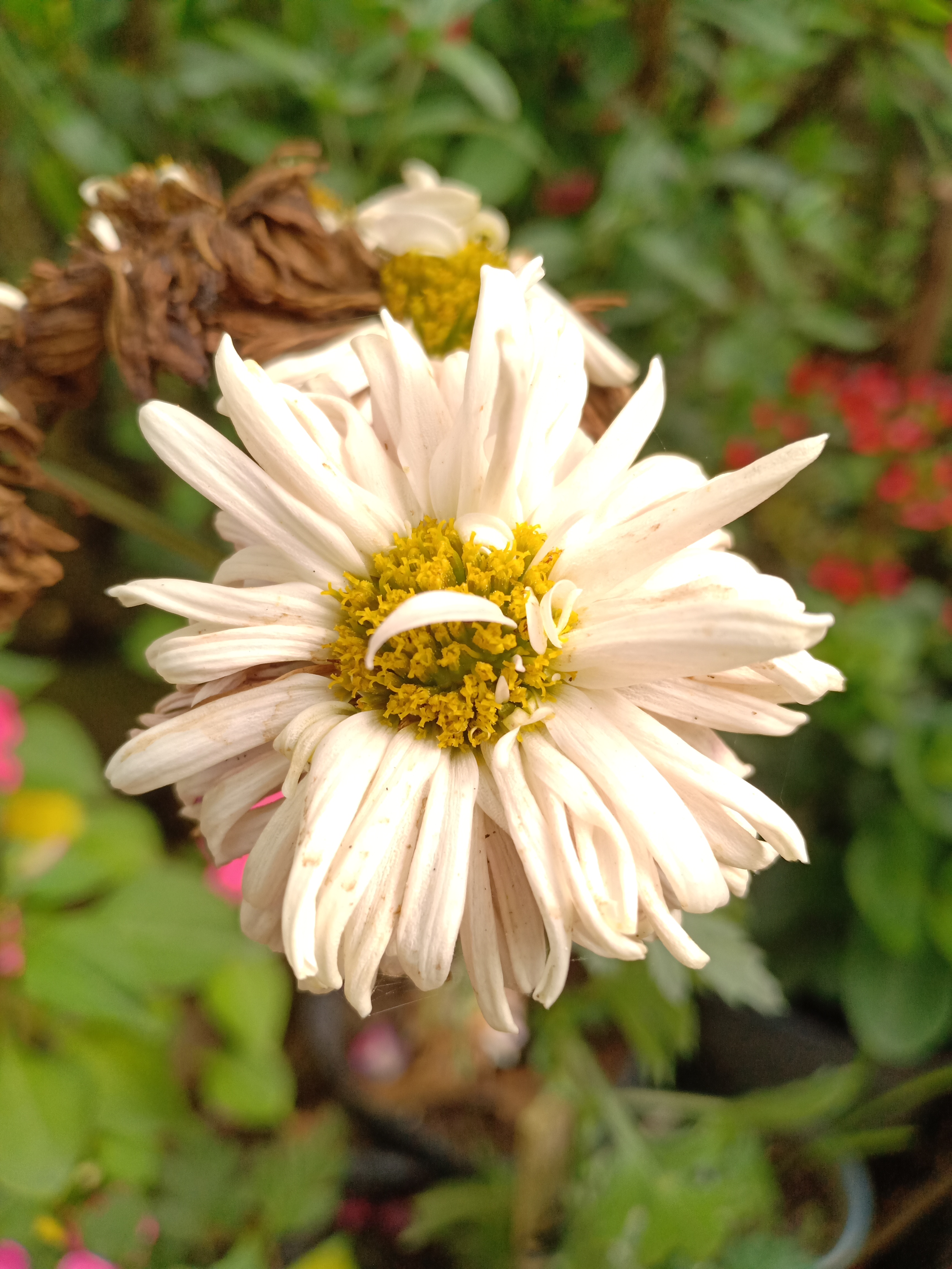 IMG20210507161023.jpg