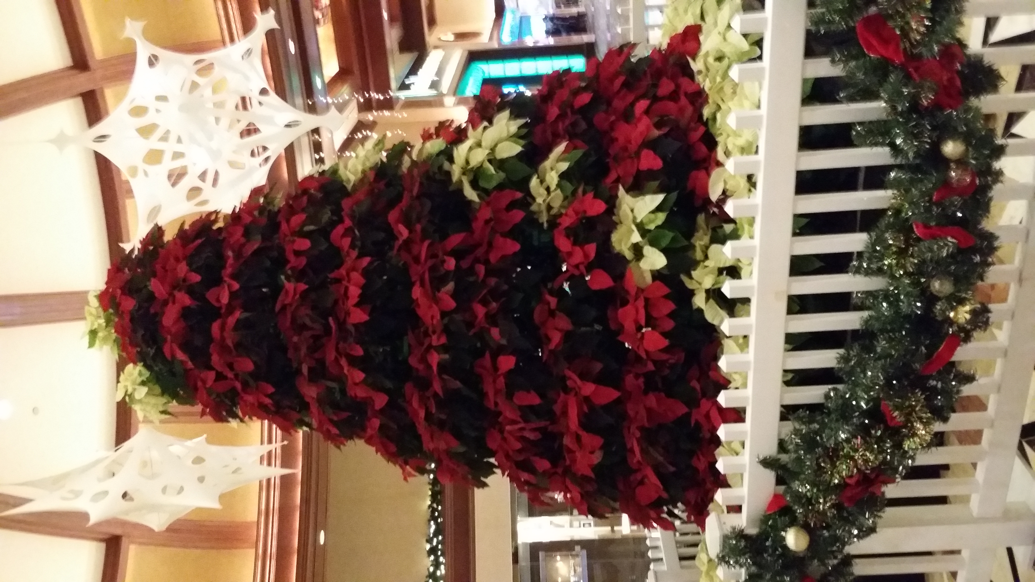 20171211_231851.jpg