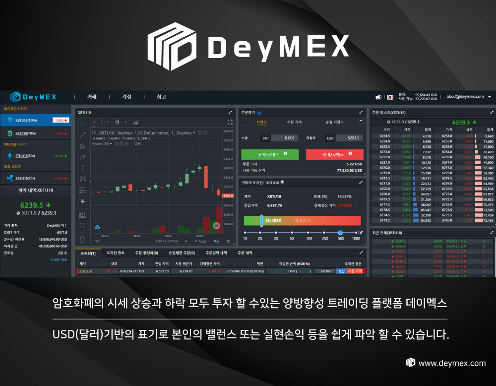 DeyMEX09(KOR).jpg