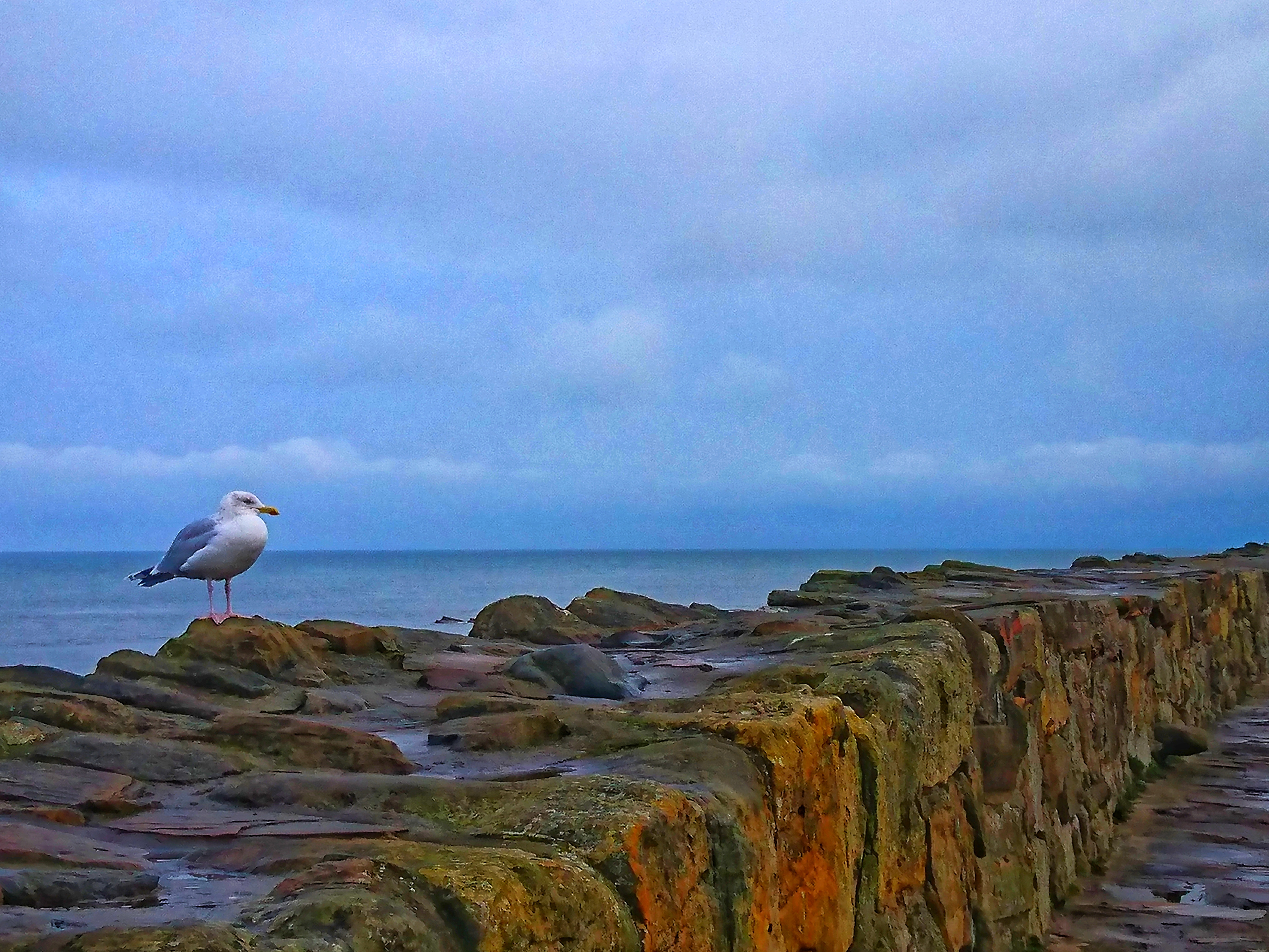 DSC_2546-01.jpeg