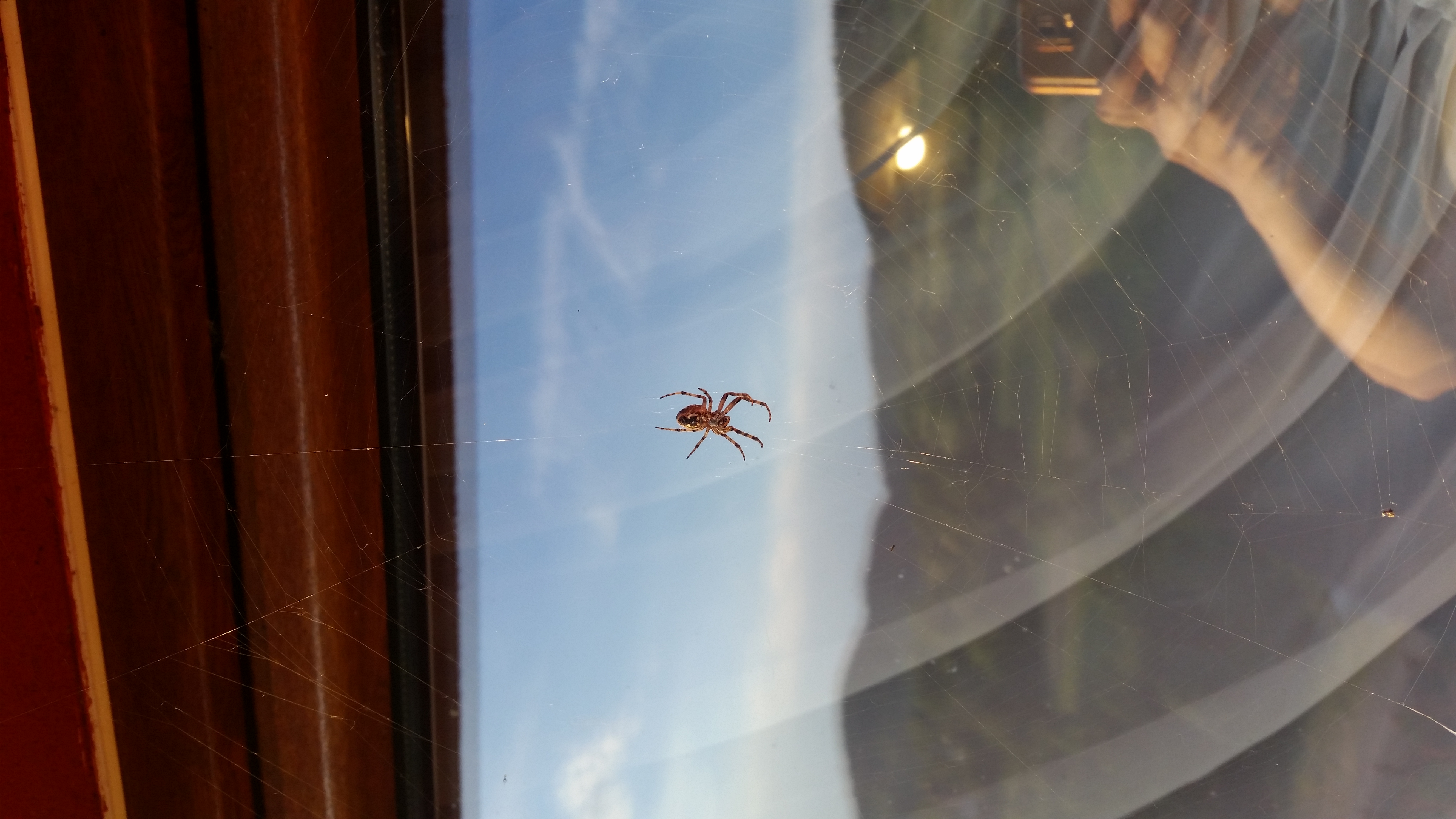 20180531_193558.jpg